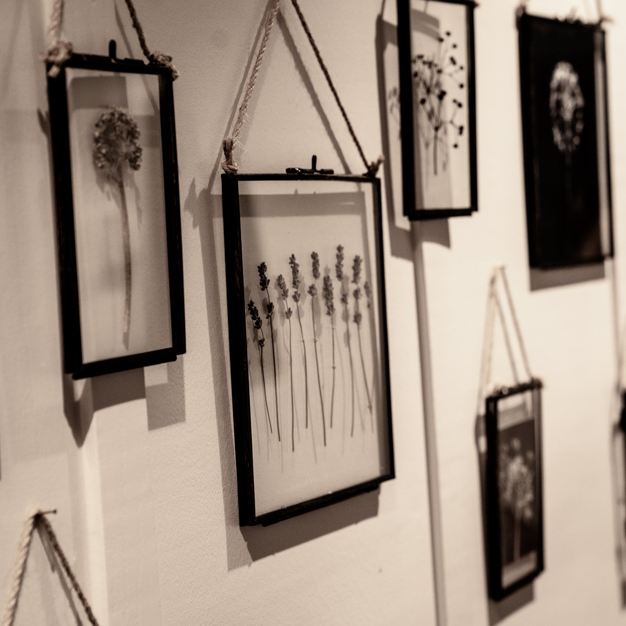 Pressed Flower Frames