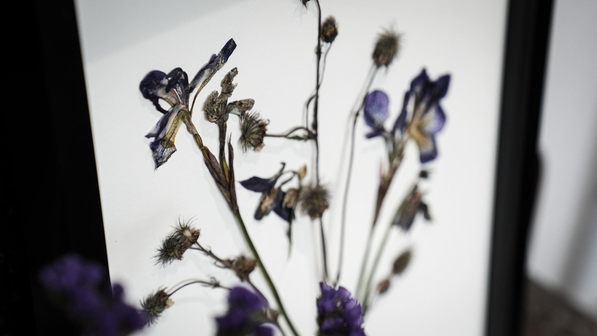 PRESSED FLOWER FRAME