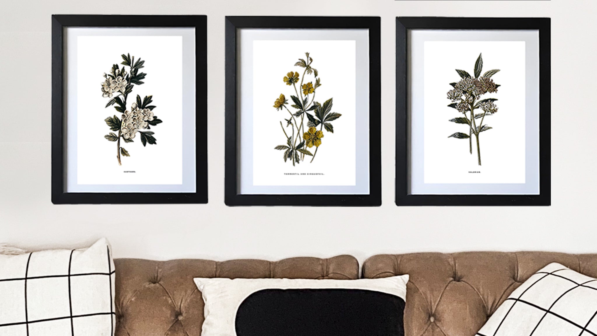 FRAMED BOTANICAL PRINTS