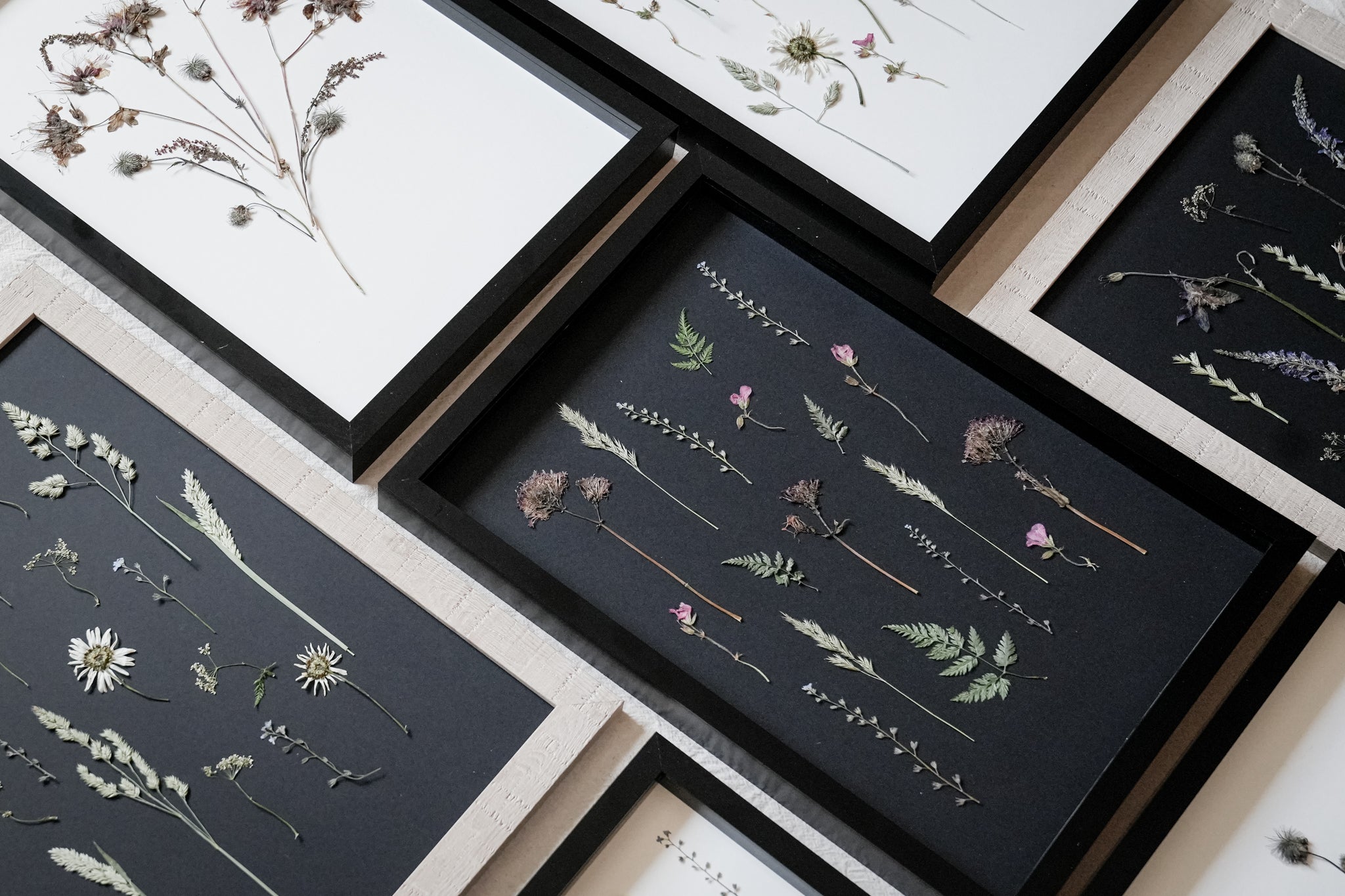 BOTANICAL ART PRINTS