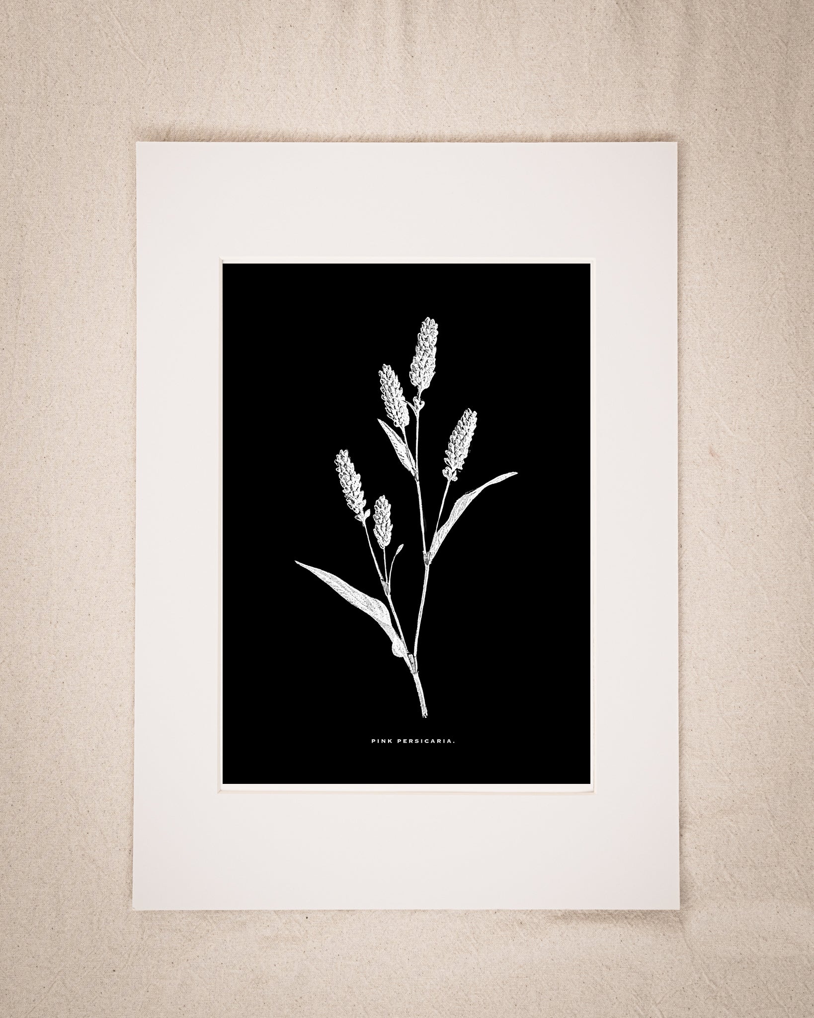 Restored Monochrome Botanical Art Print – 19th Century Floral Illustration (Pink Persicaria)