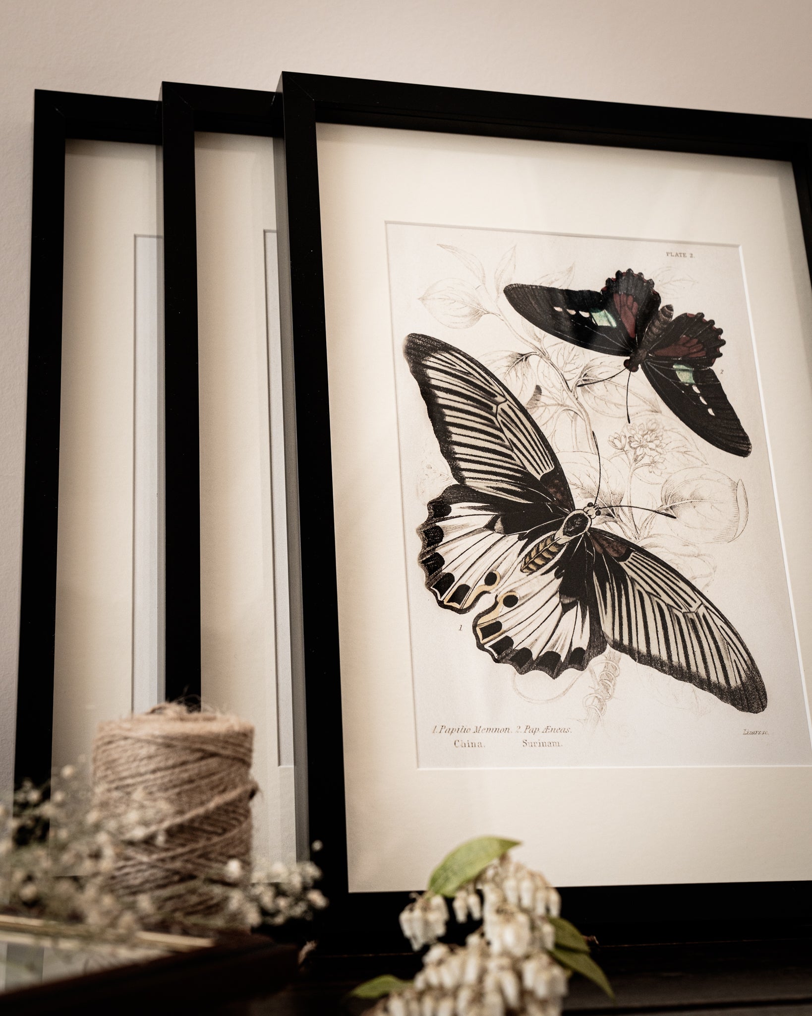 Framed Gallery Wall Set – Vintage Butterfly Botanical Art Prints (Set of 6, Black Noir Frame)