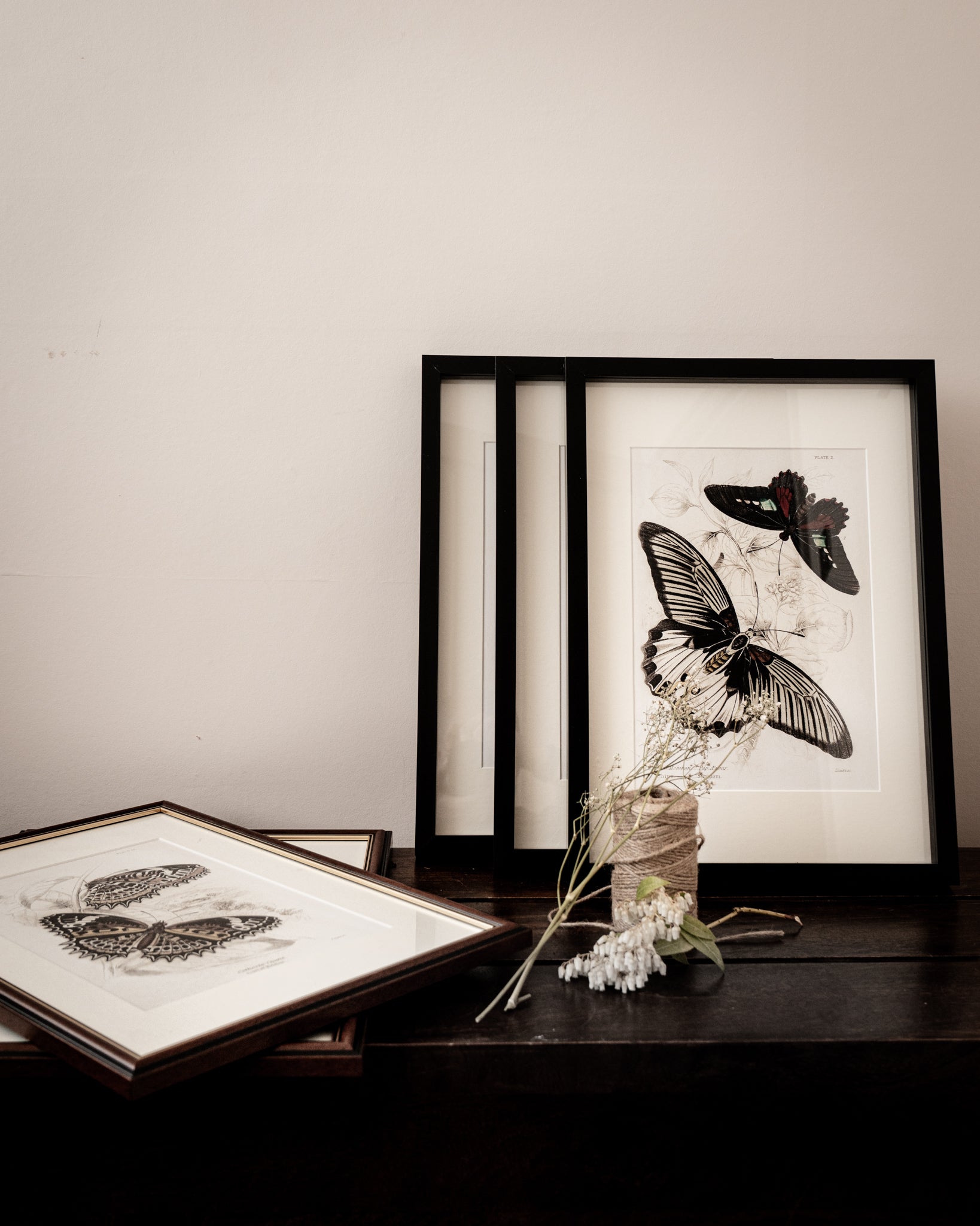 Framed Set of Two Vintage Butterfly Art Prints 01 (Black Noir Frame Collection)