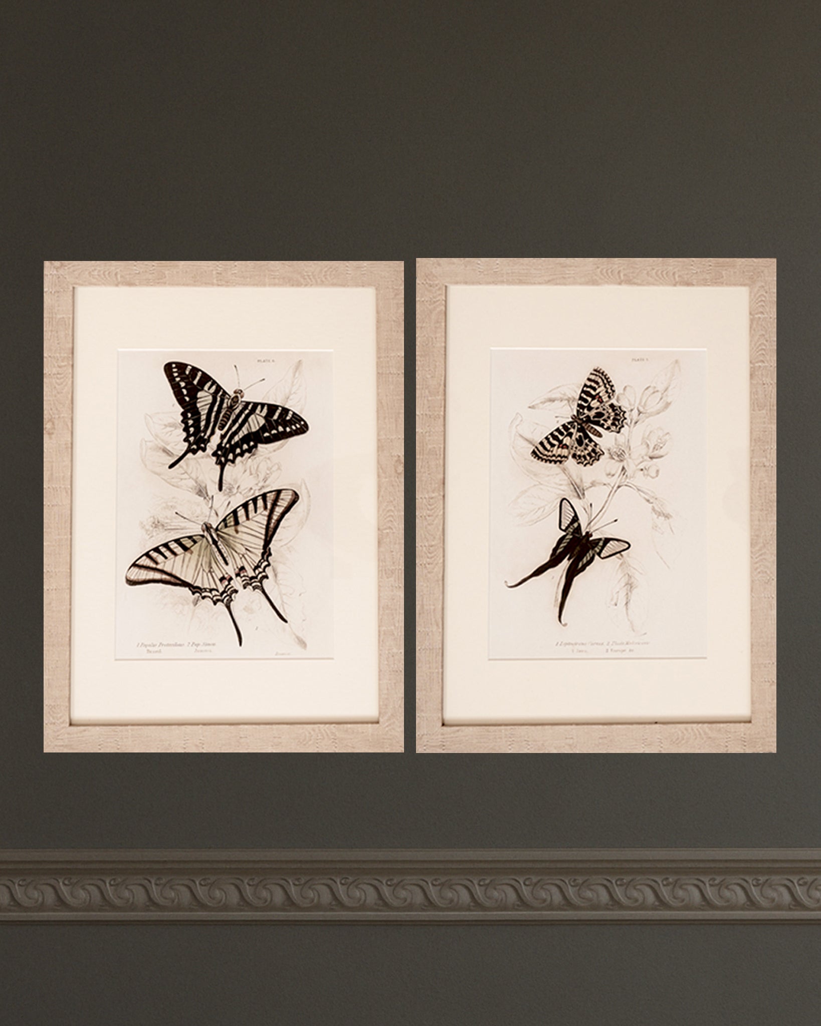 Framed Set of Two Vintage Butterfly Art Prints 02 (Sand Frame Collection)