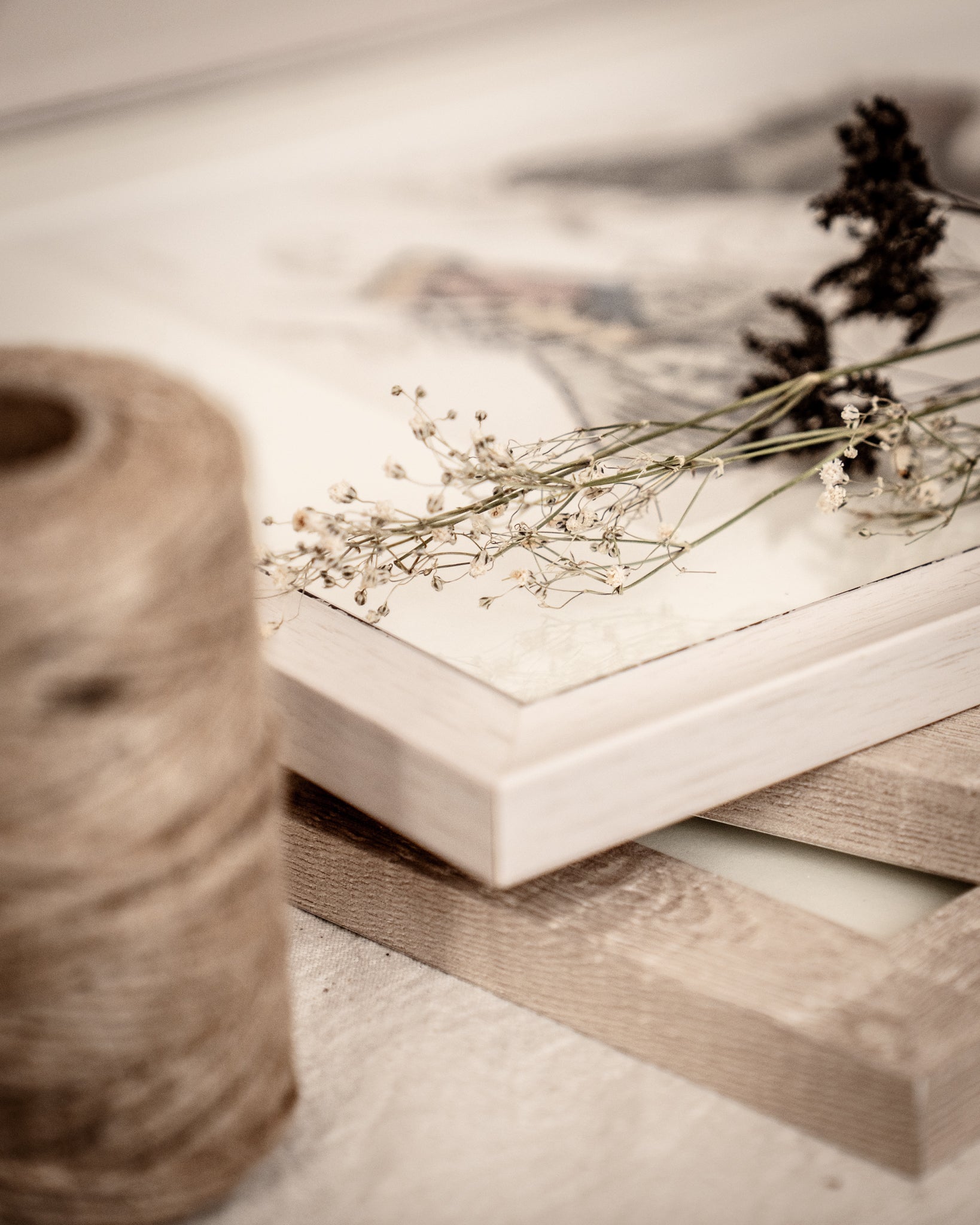 Vintage Butterfly Art Print 07