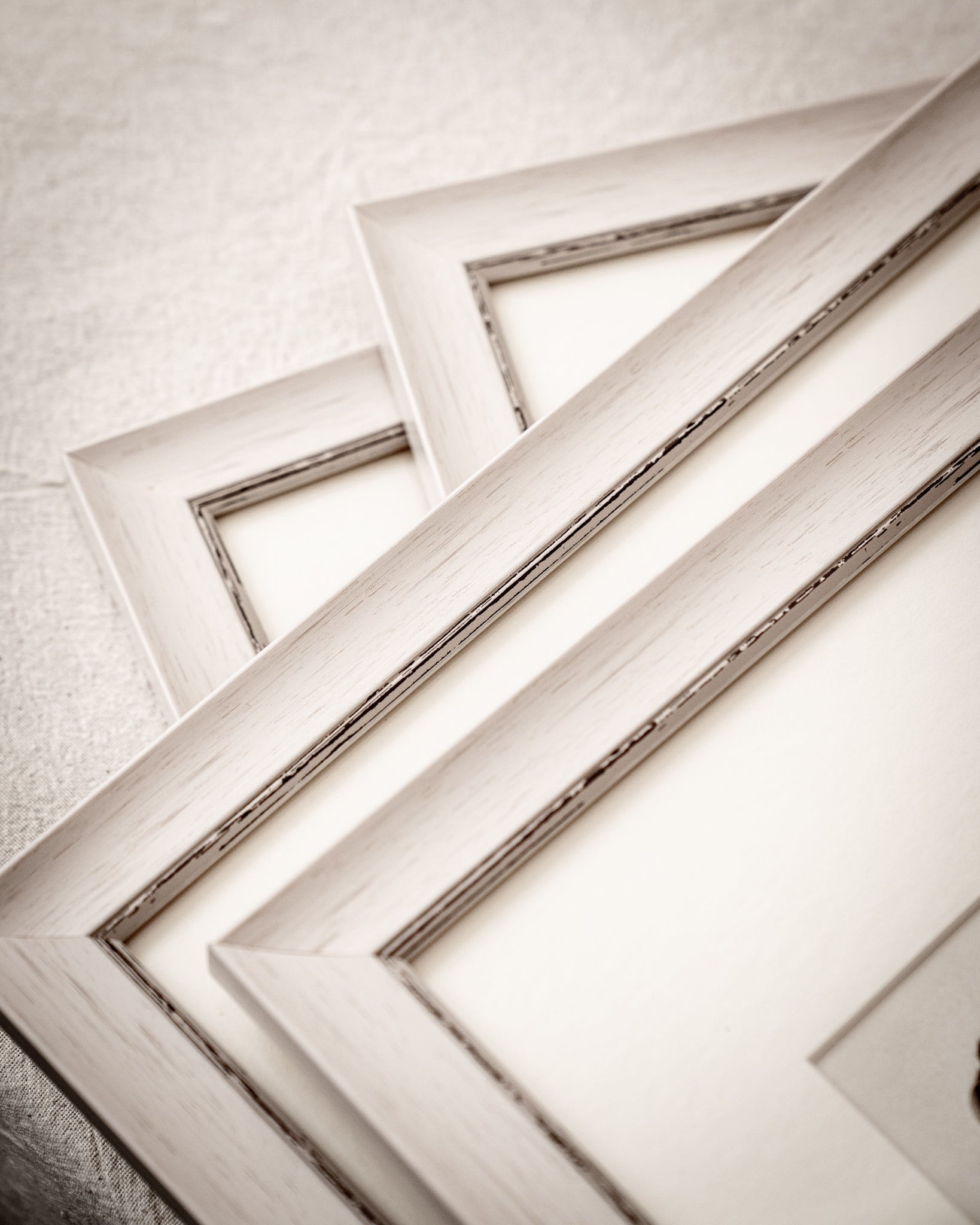 Framed Set of Four Vintage Butterfly Art Prints 02 (Vintage White Frame Collection)