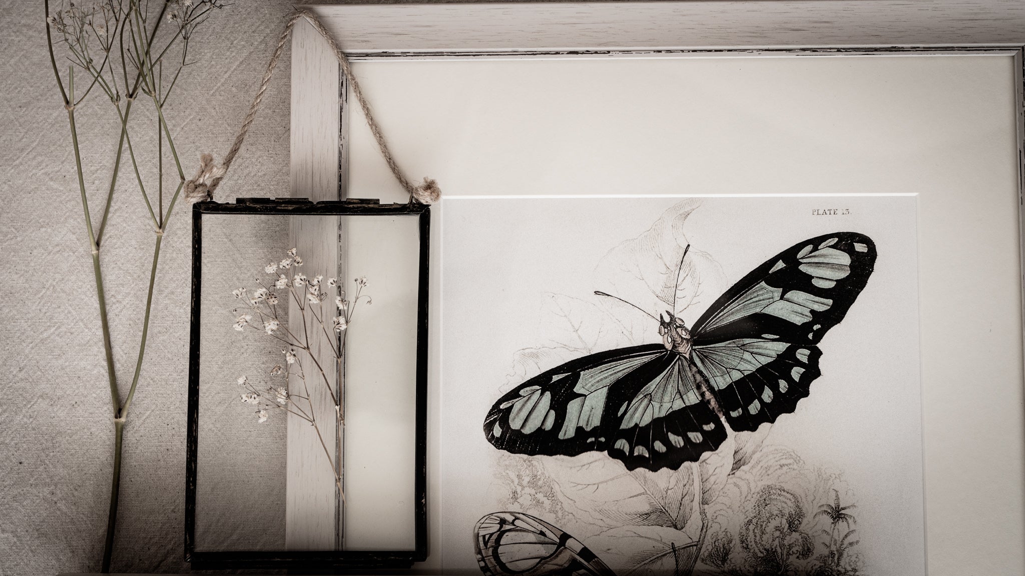 Framed Set of Two Vintage Butterfly Art Prints 01 (Vintage White Frame Collection)