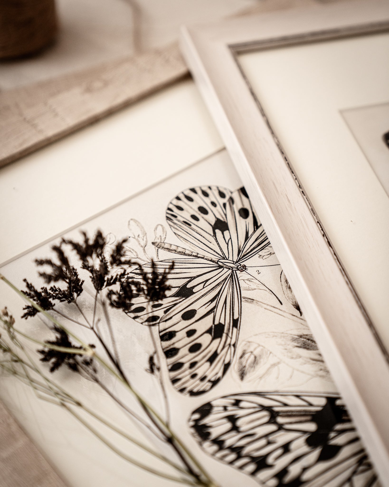 Vintage Butterfly Art Print 014