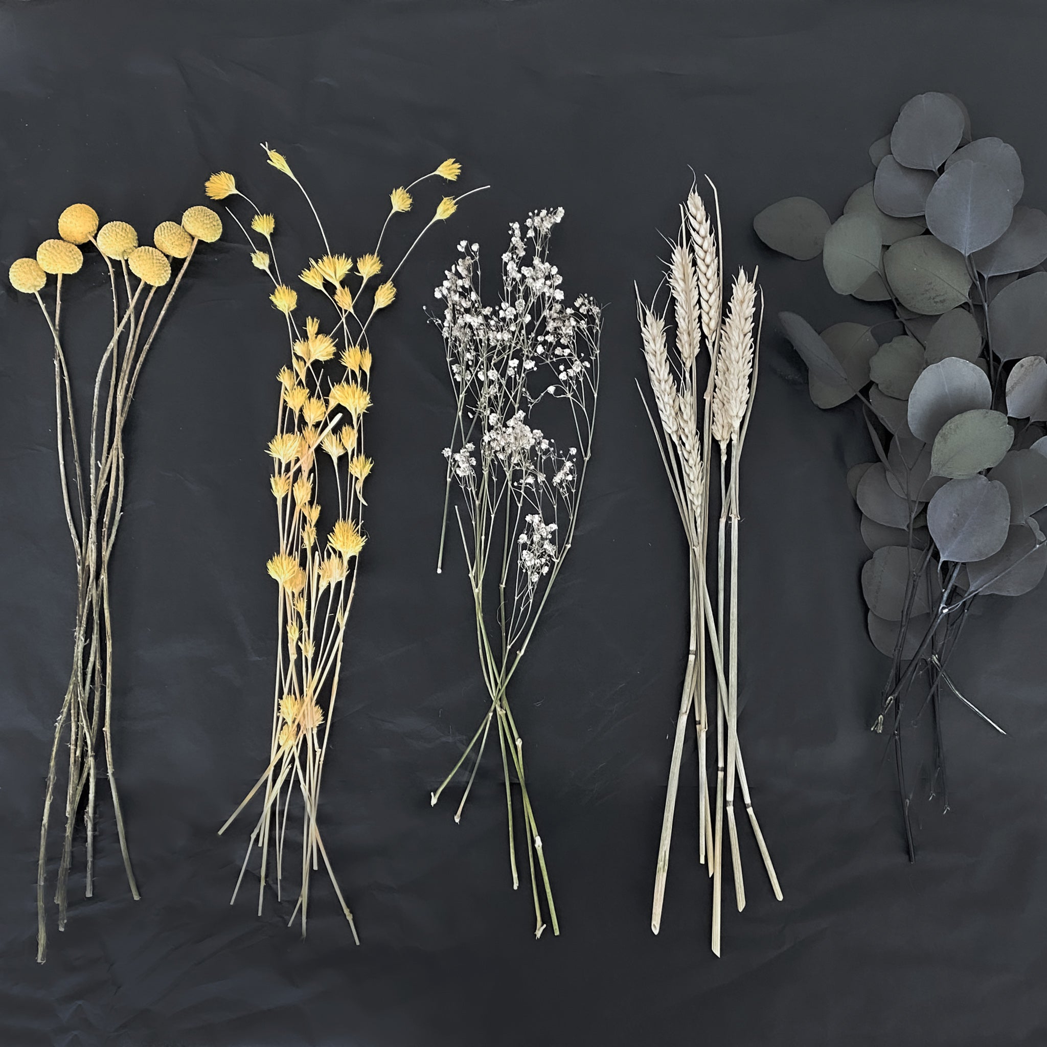 Dried Flower Bouquet: Eucalyptus & Billy Buttons