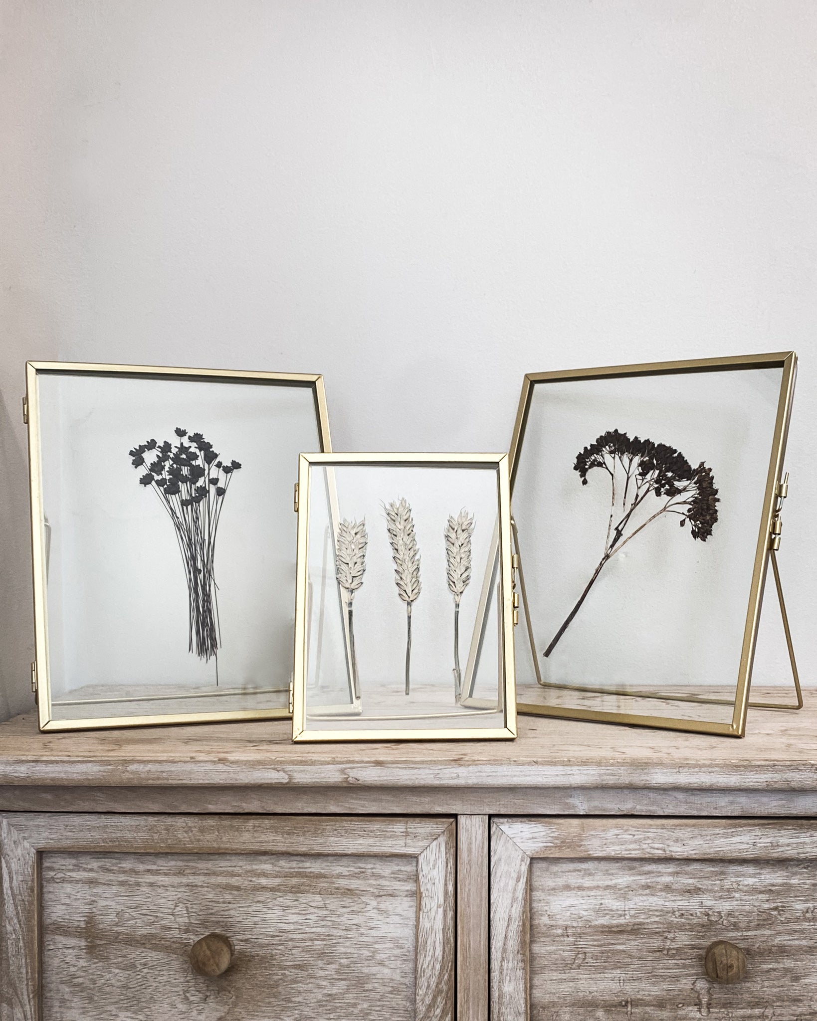 Gold Pressed Flower Frame: Dried Black Daisies - Large