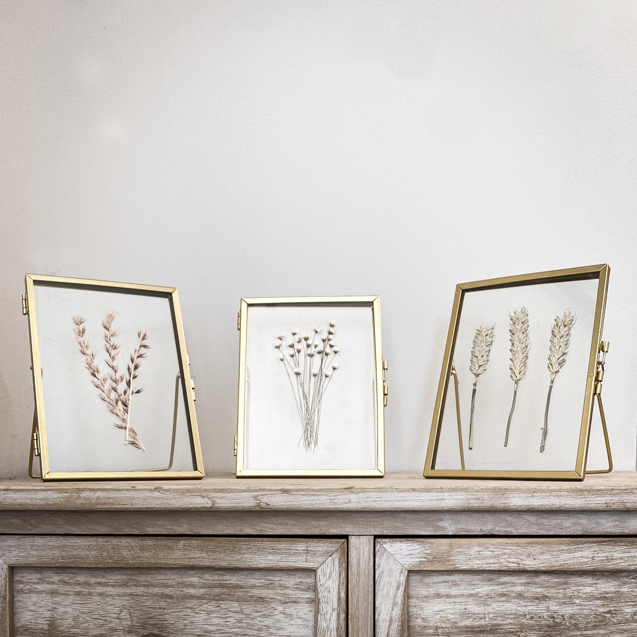 Gold Pressed Flower Frame: Natural Star Daisies - Small