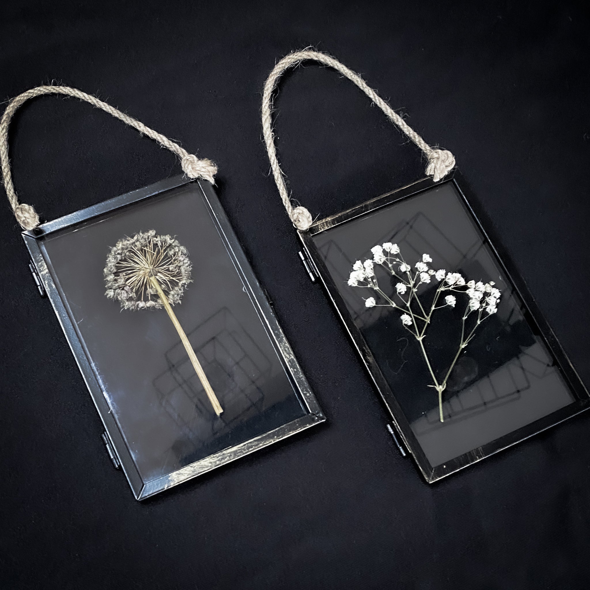 Pressed Flower Frame Gift Set