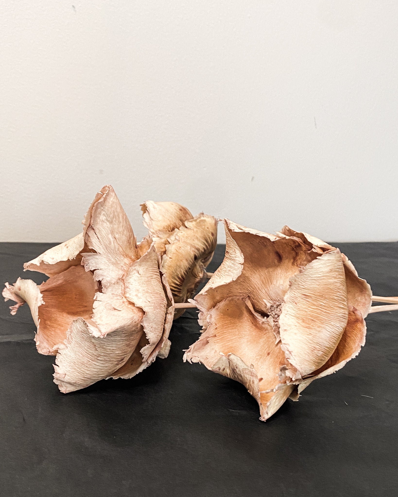 Dried Palm Cups - Vintage Pink