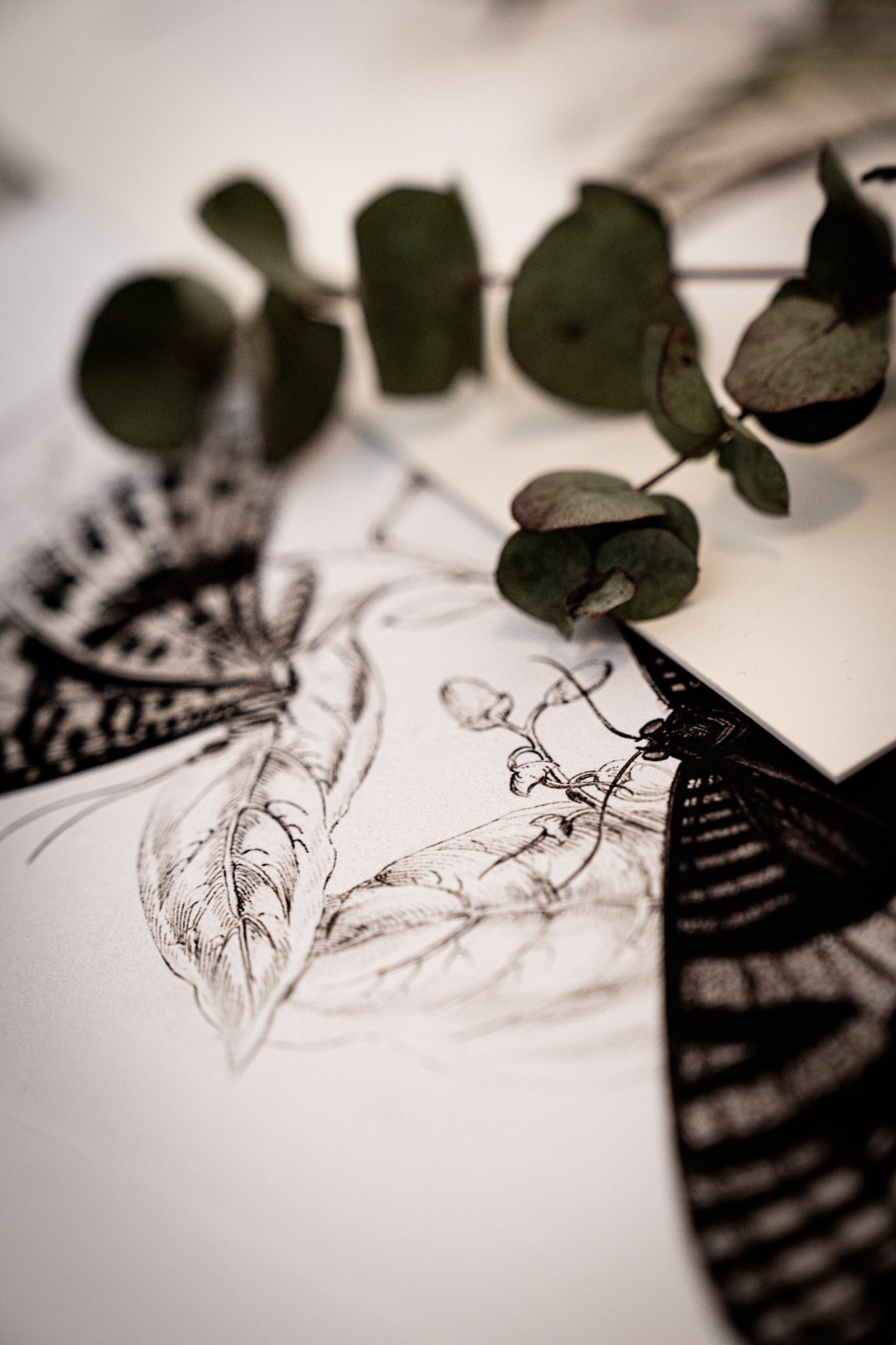 Monochrome: Vintage Butterfly Art Print 028