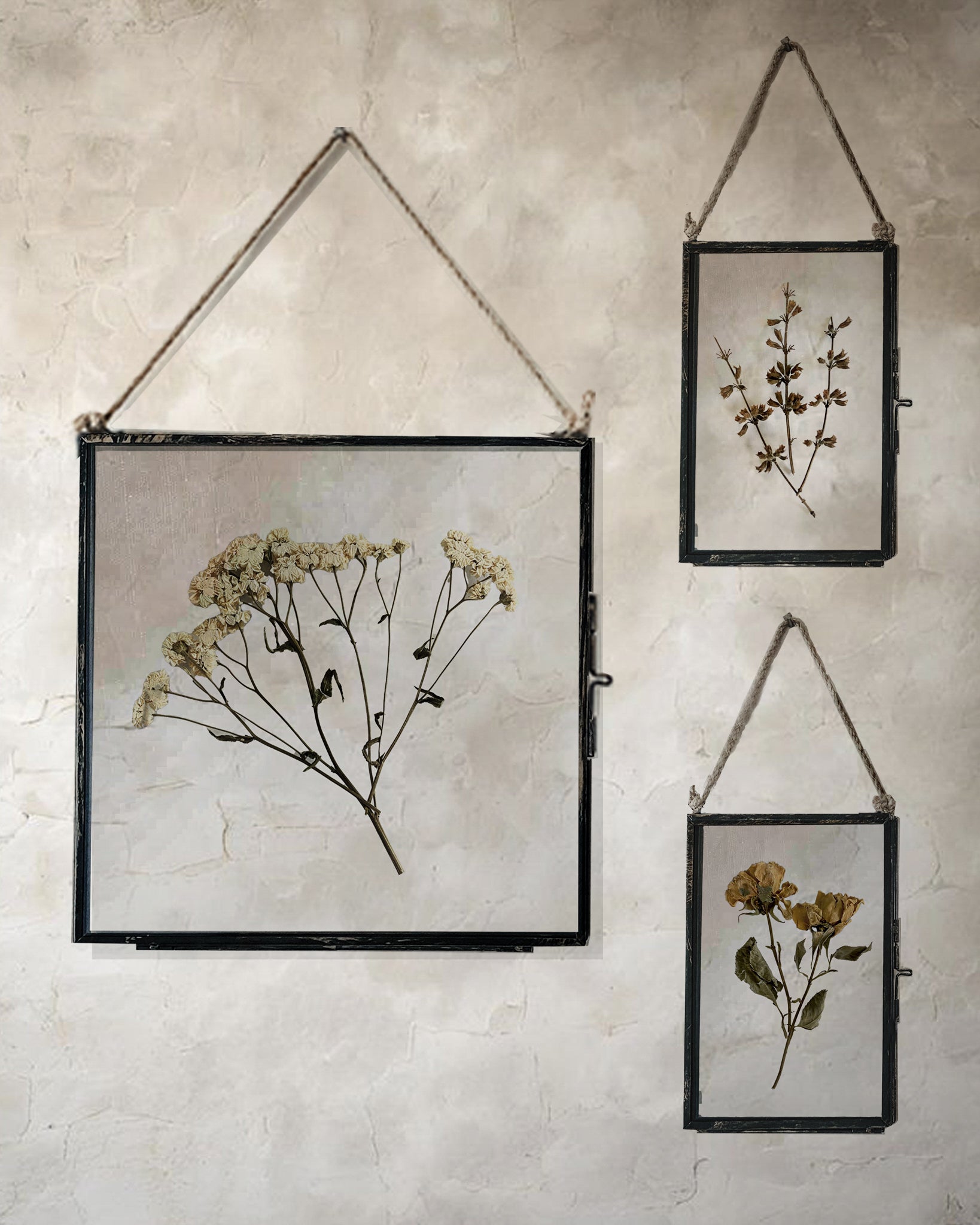 Set Of Three Pressed Flower Frames - Vintage Tansy & Branches