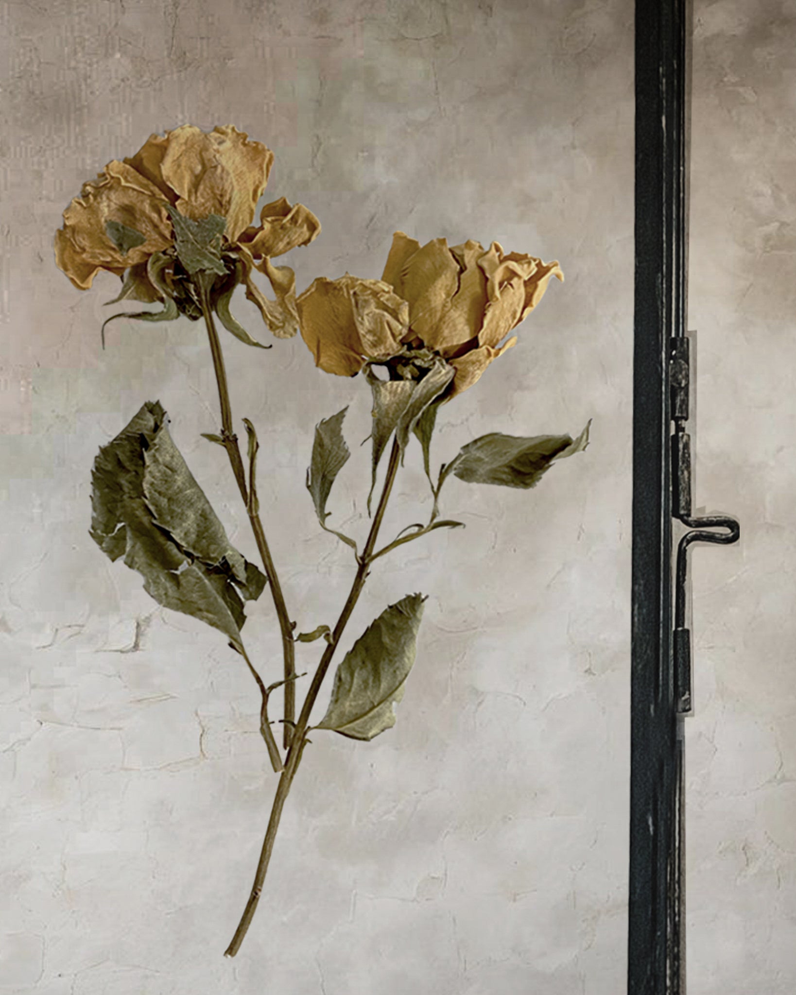 Set Of Three Pressed Flower Frames - Vintage Tansy & Branches