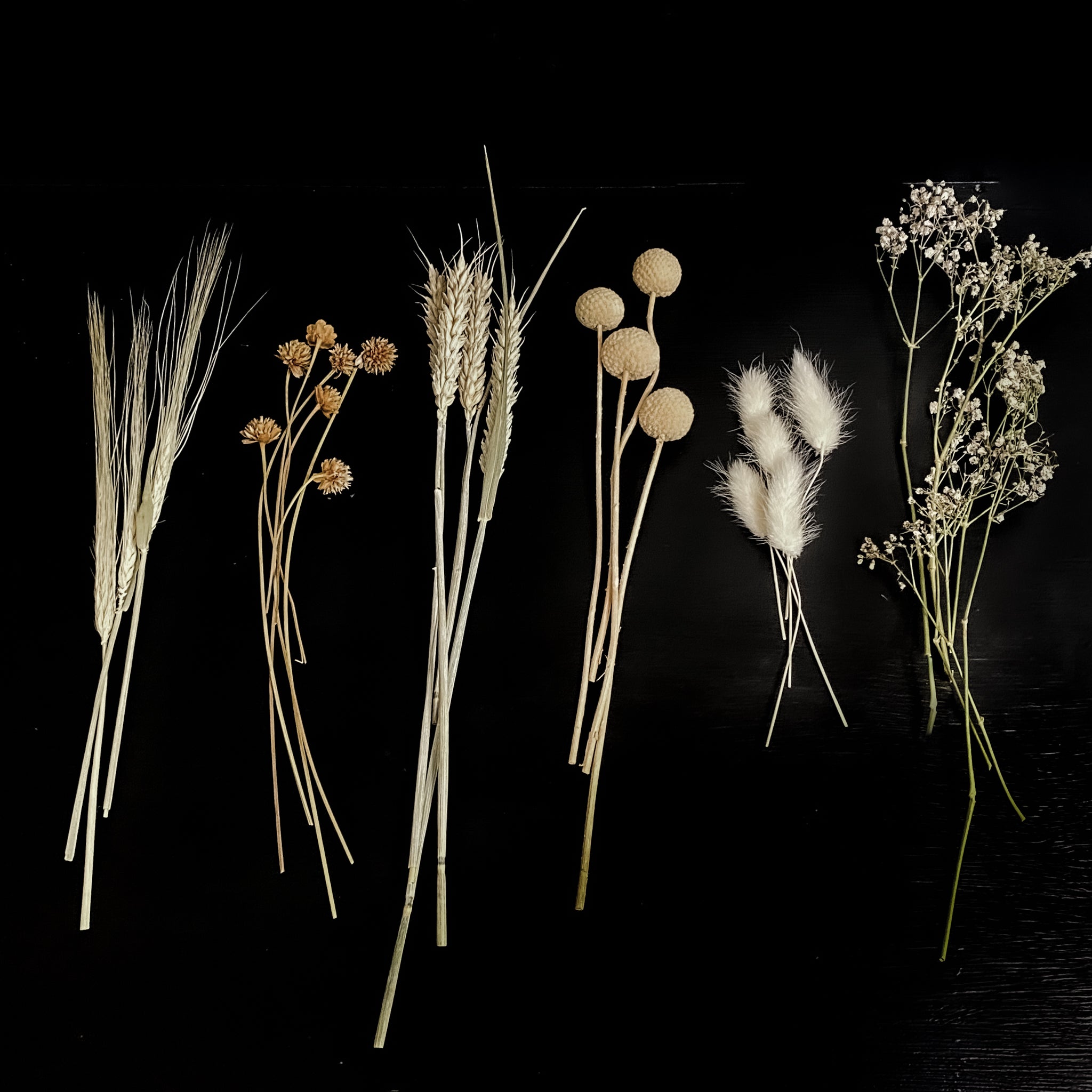 Mali Mango Wood Dried Flower Bar - Neutrals - Large