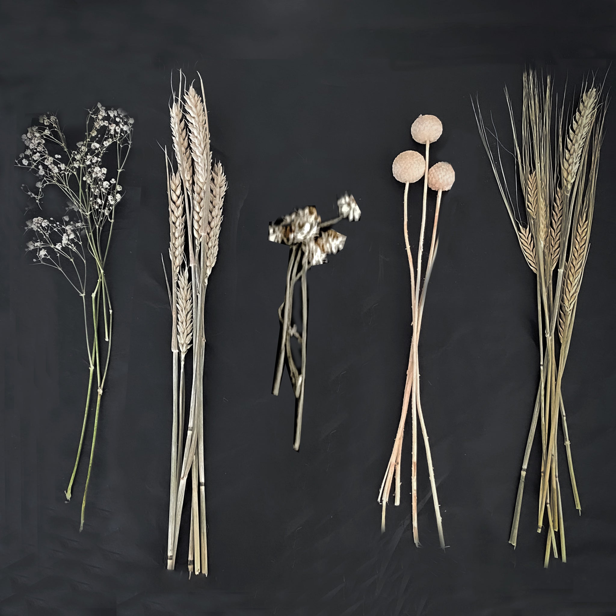 Mali Mango Wood Dried Flower Bar - Neutrals - Small