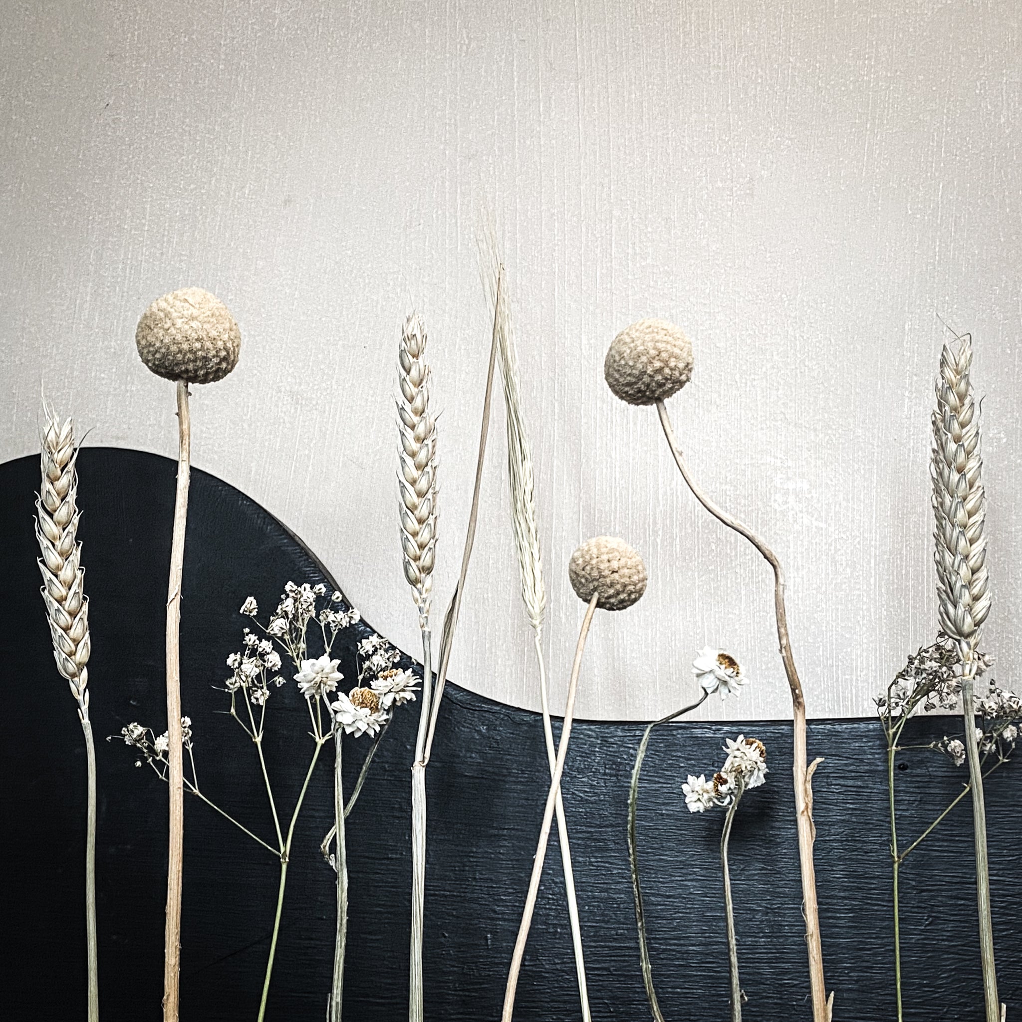 Mali Mango Wood Dried Flower Bar - Neutrals - Small