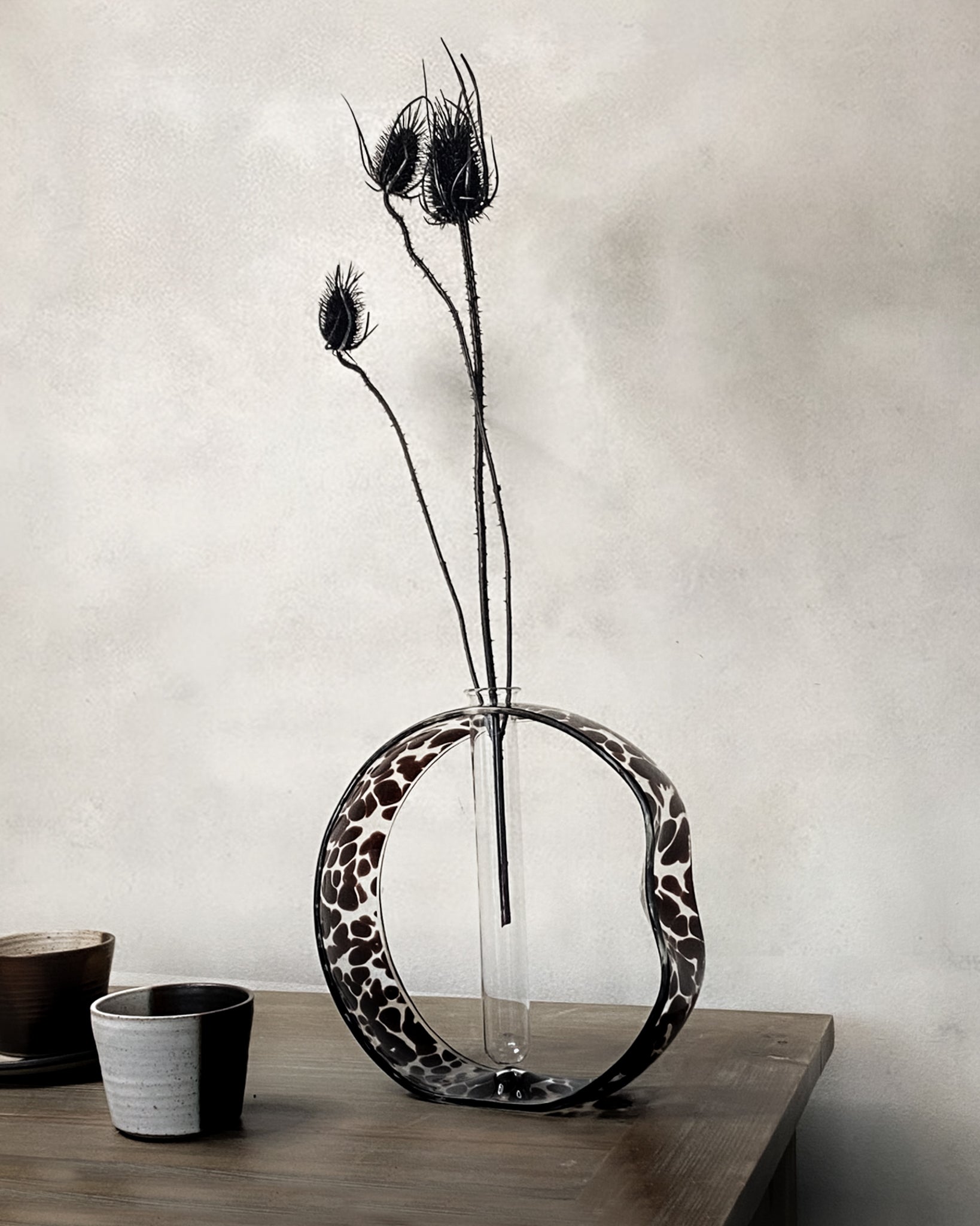 Dried Teasels - Black