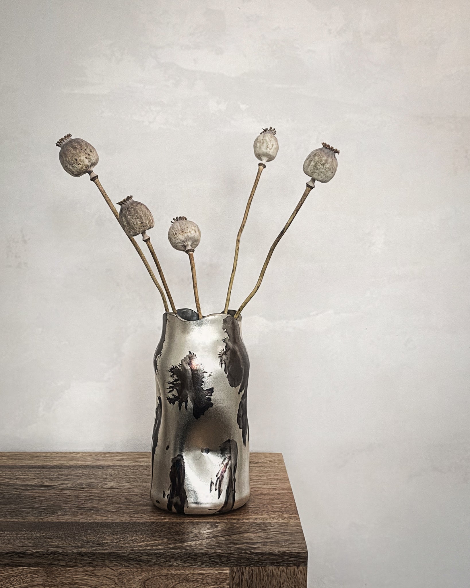 Dried Poppy Heads