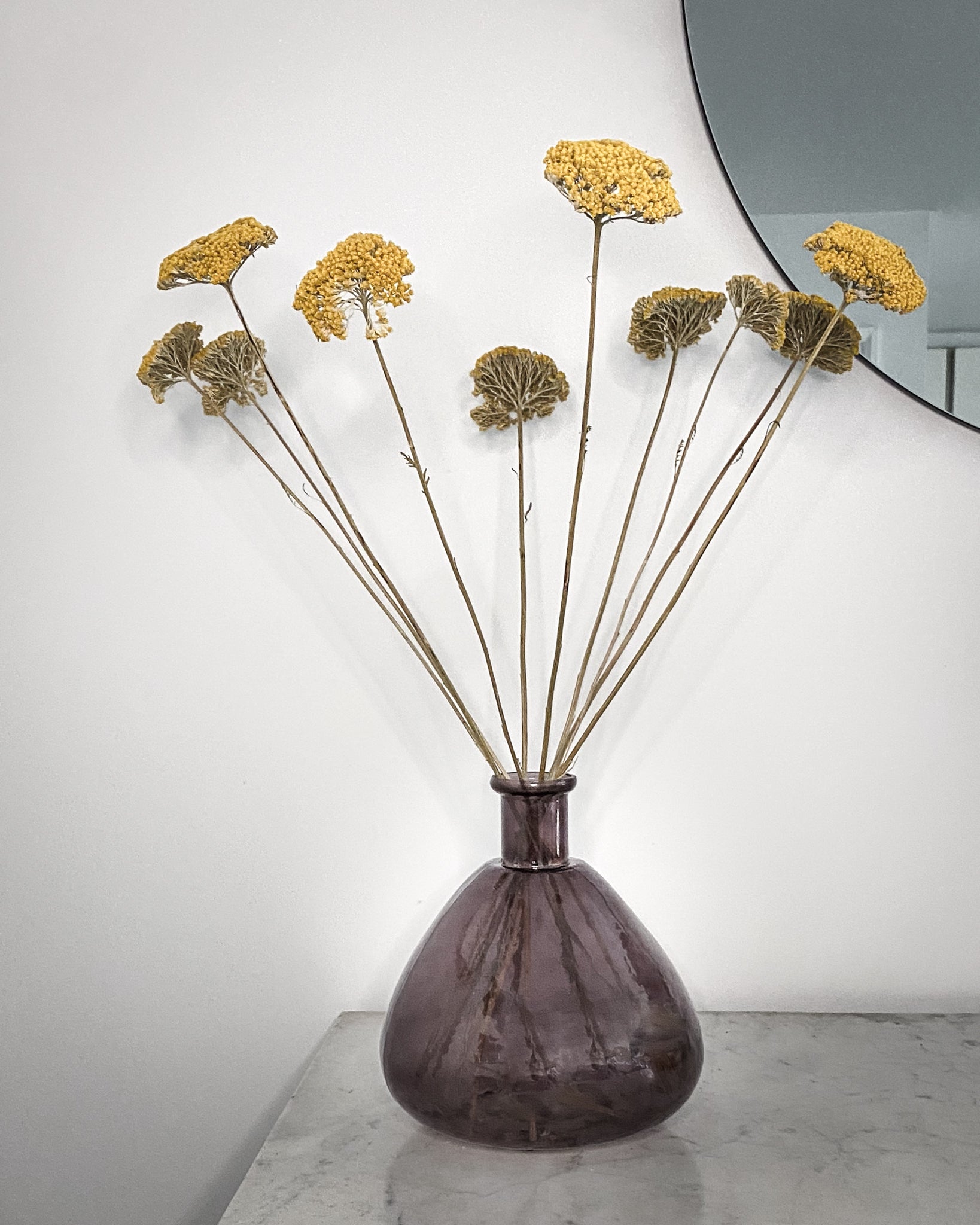 Dried Achillea Stems - Sun Kissed Yellow