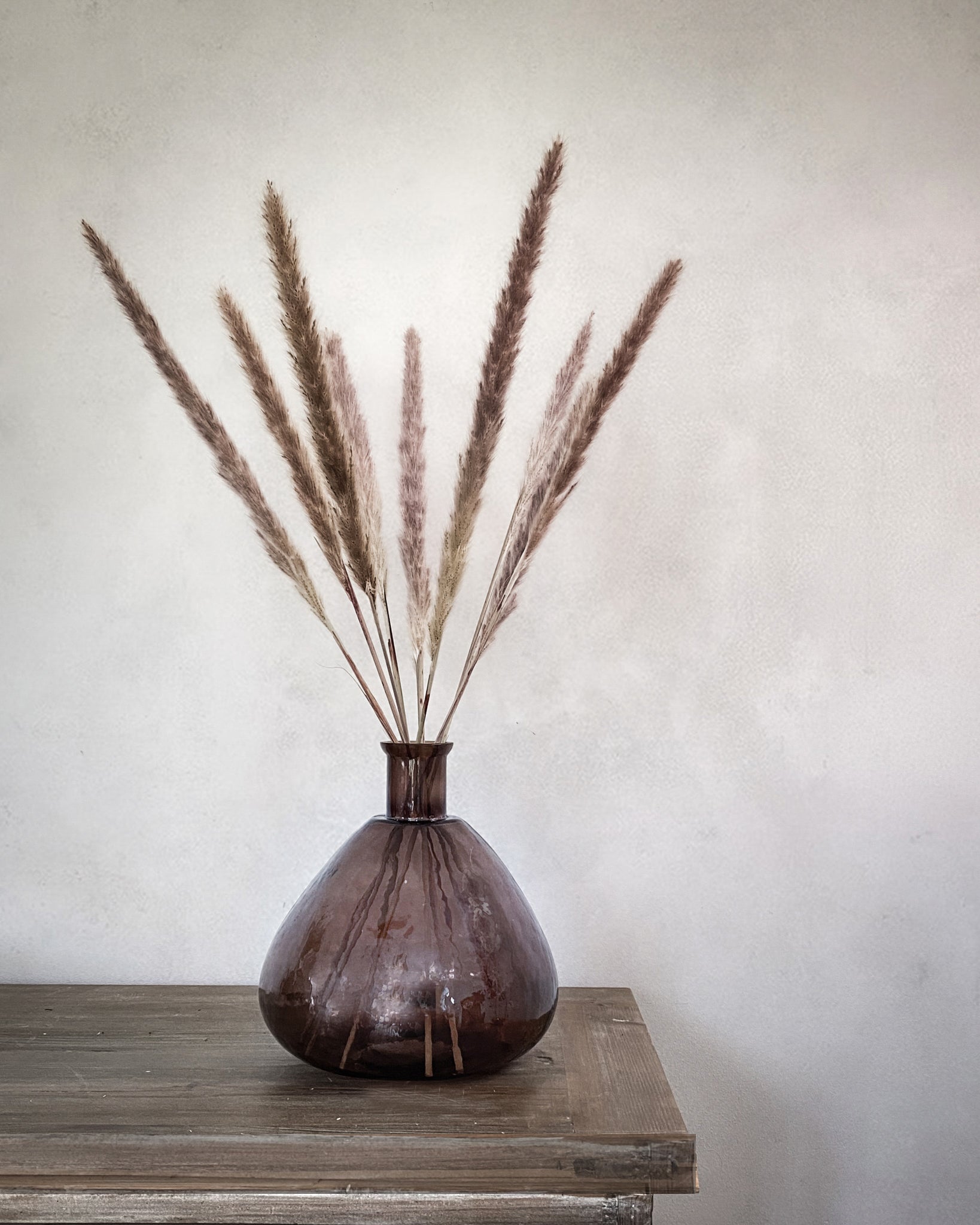 Dried Pampas Grass - Natural Dusky Pink