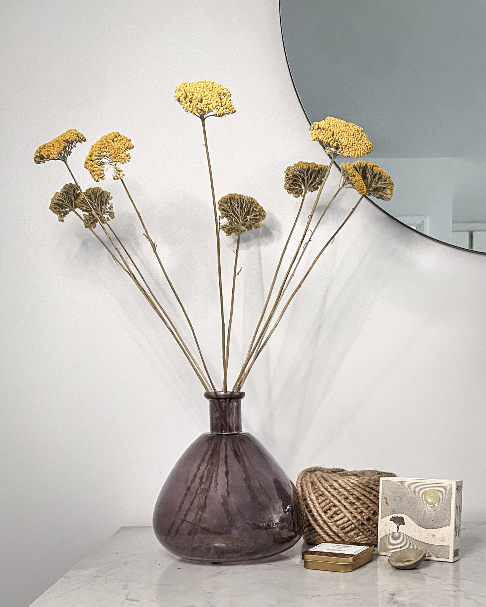 Dried Achillea Stems - Sun Kissed Yellow