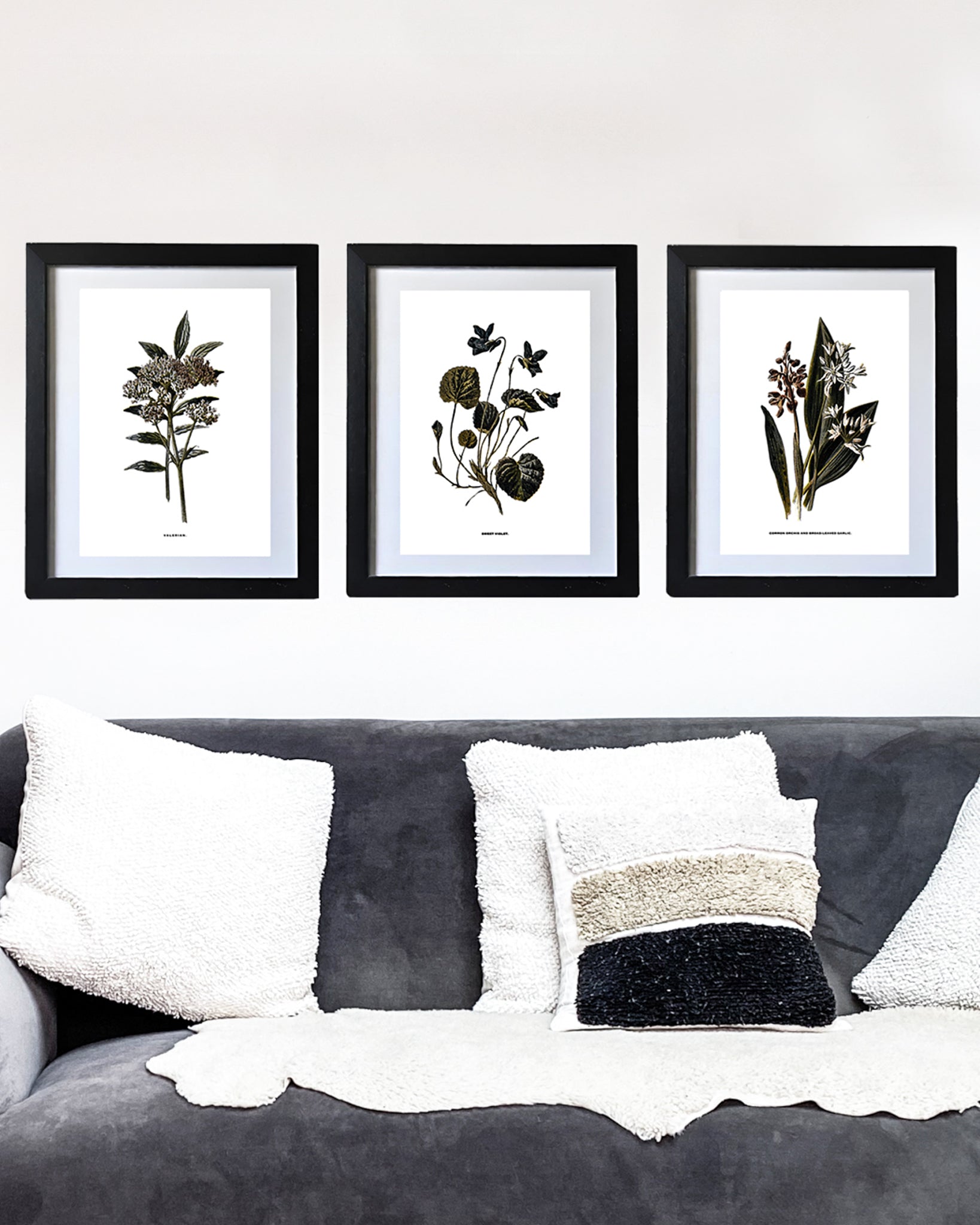 Framed Vintage Botanical Floral Wall Art Prints: Set Of Three