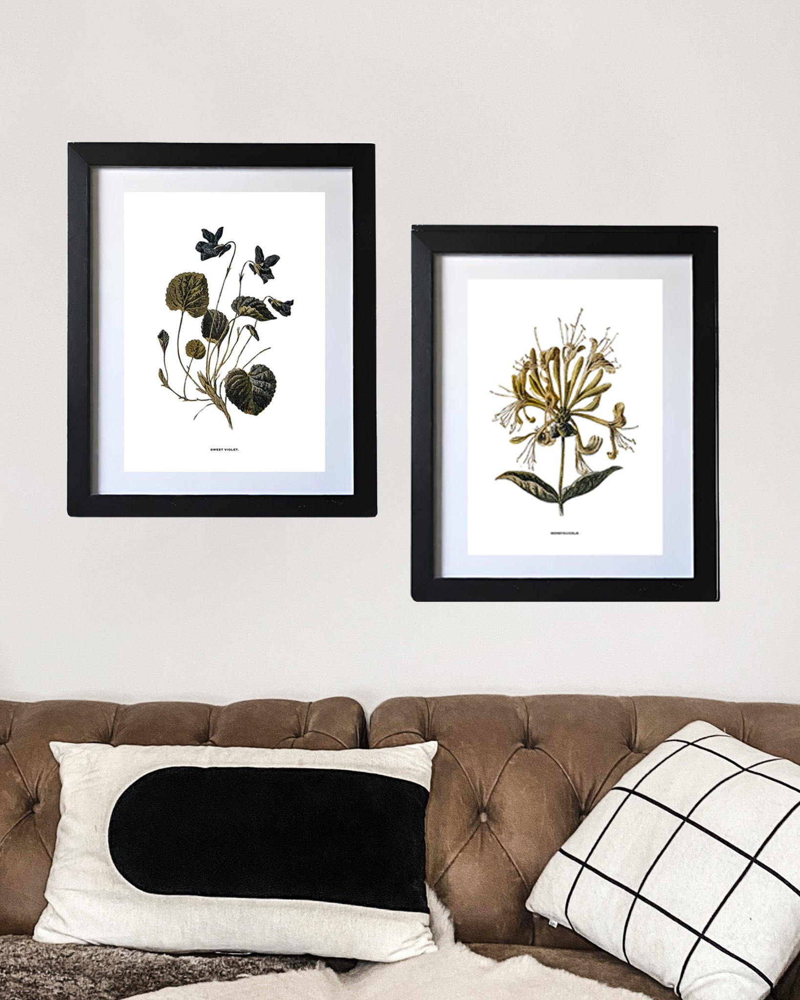 Restored Vintage Botanical Art Print – 19th Century Floral Illustration (Honeysuckle)