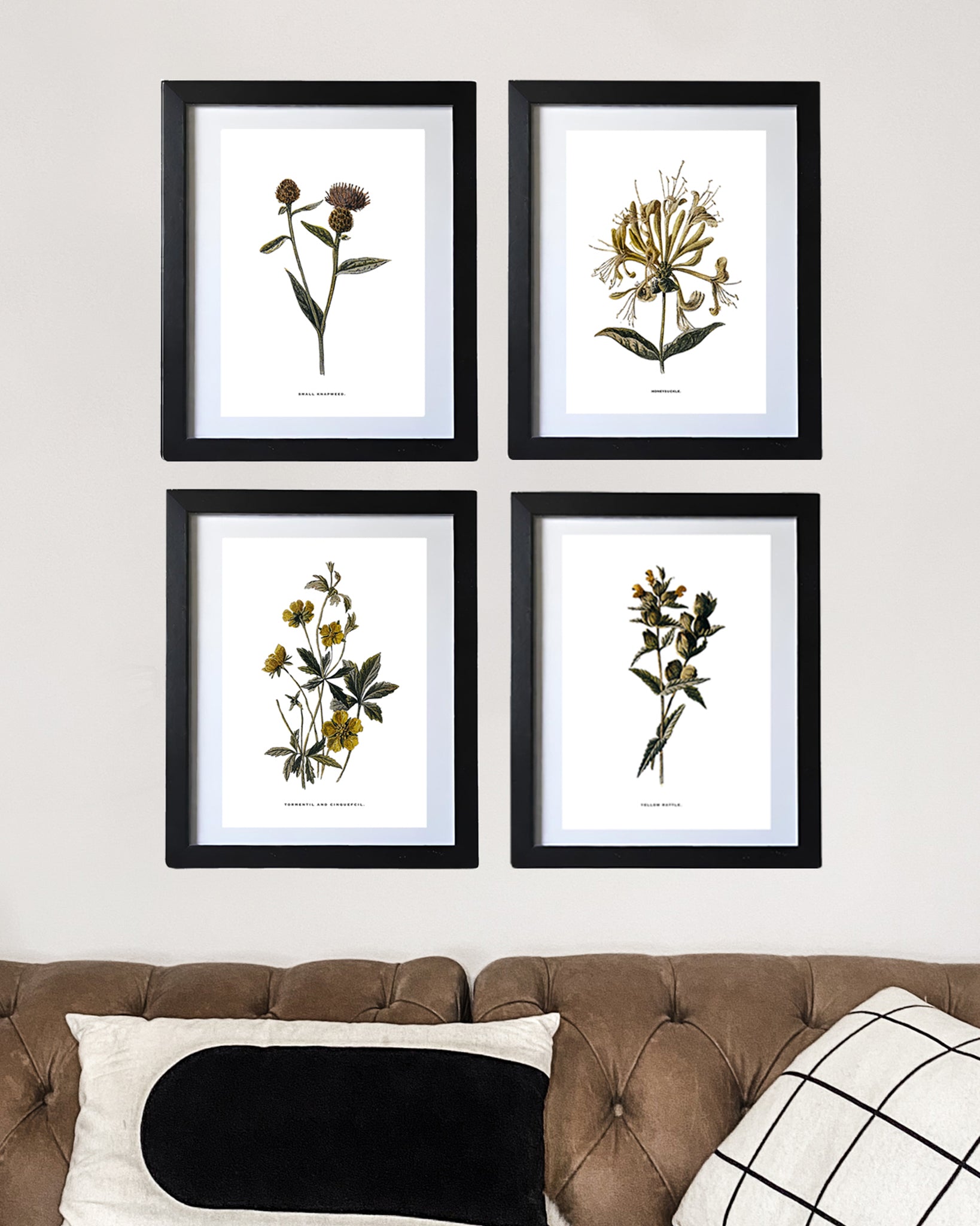 Framed Vintage Botanical Floral Wall Art Prints: Set Of Four