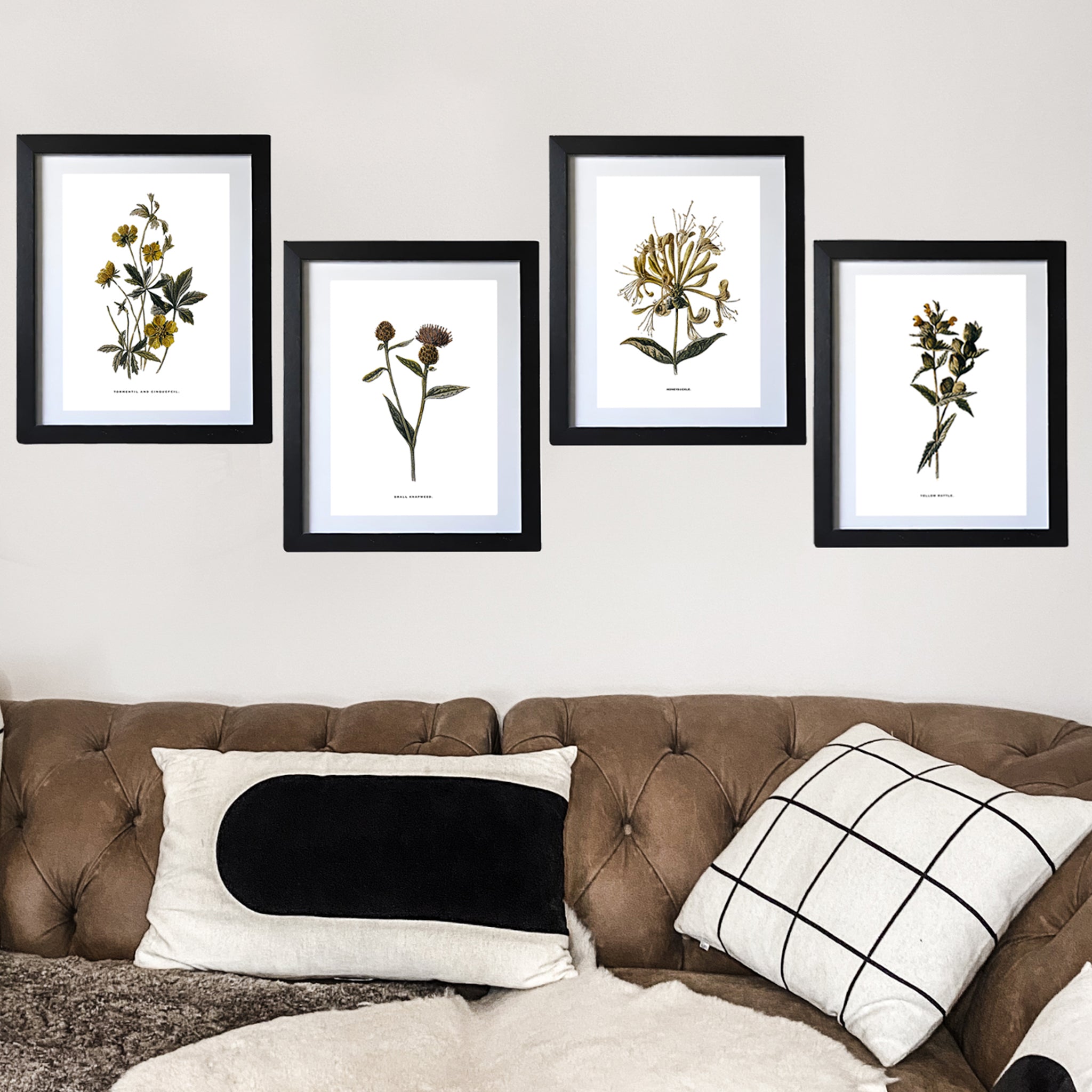 Framed Vintage Botanical Floral Wall Art Prints: Set Of Four