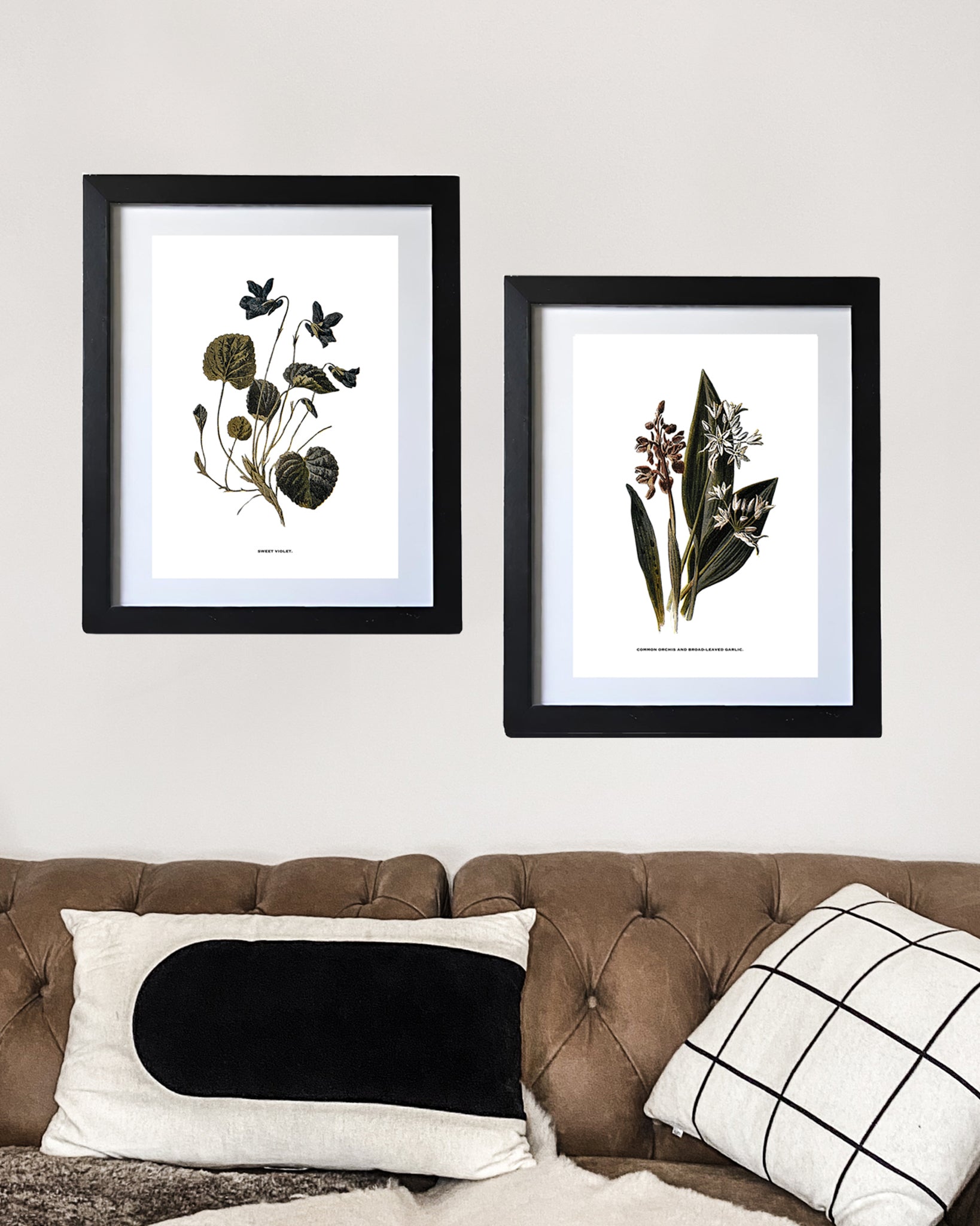Framed Vintage Botanical Floral Art Prints: Set Of Two