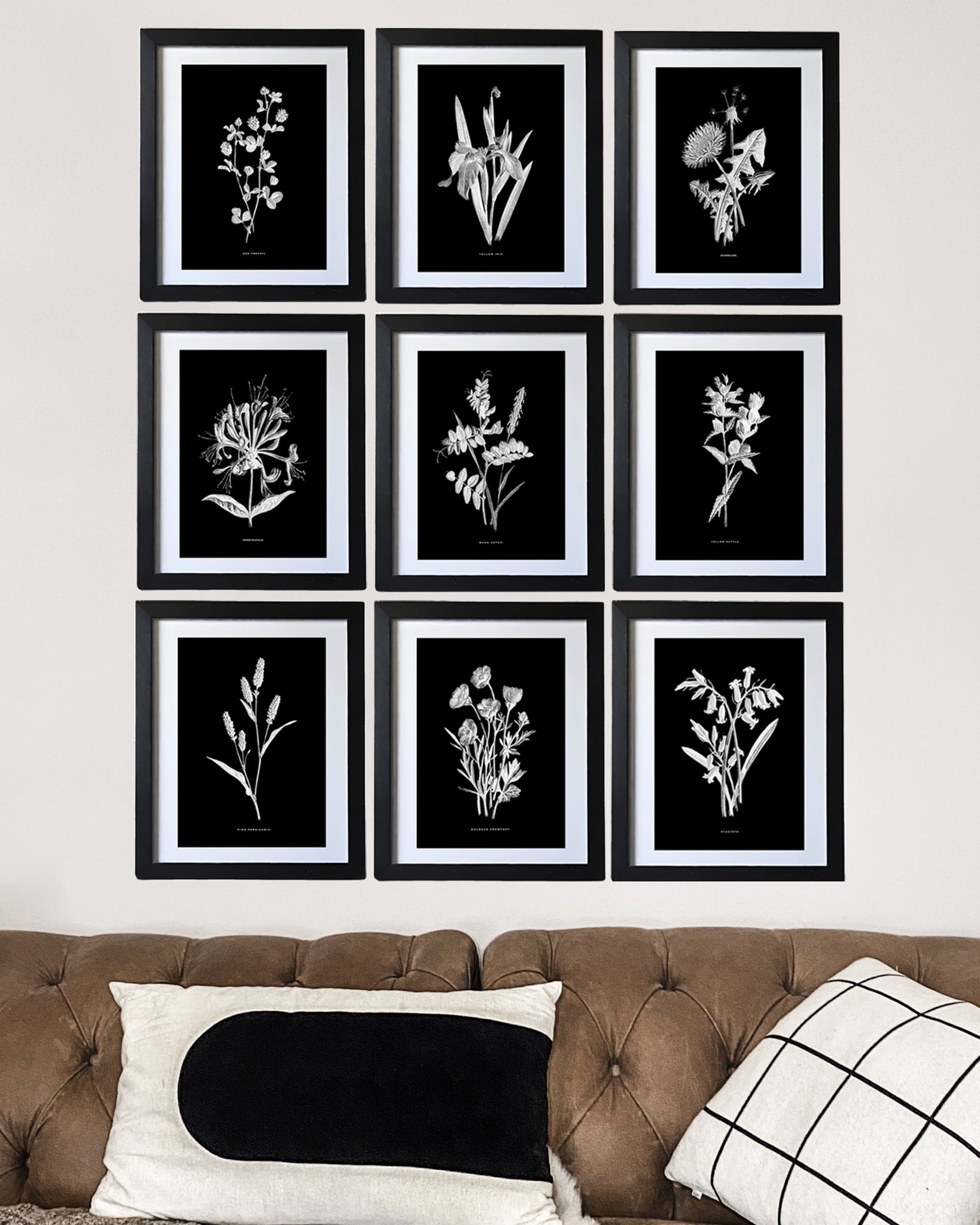Black & White Framed Vintage Botanical Floral Art Prints: Set Of Nine