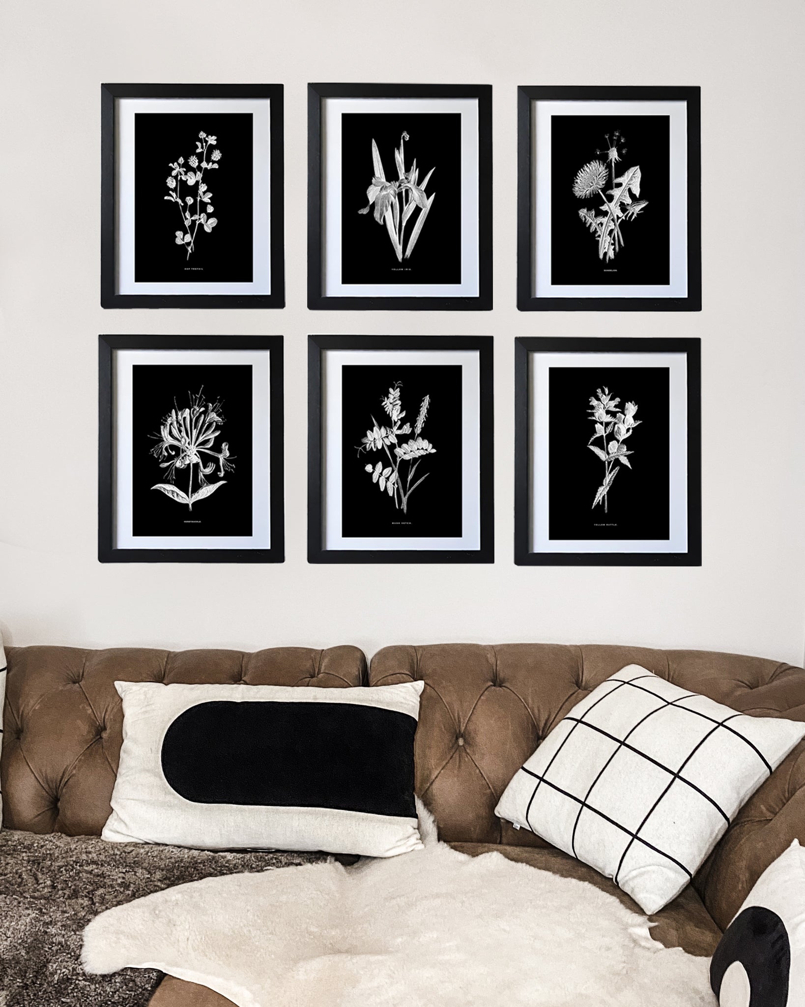 Restored Monochrome Botanical Art Print – 19th Century Floral Illustration (Hop Trefoil)