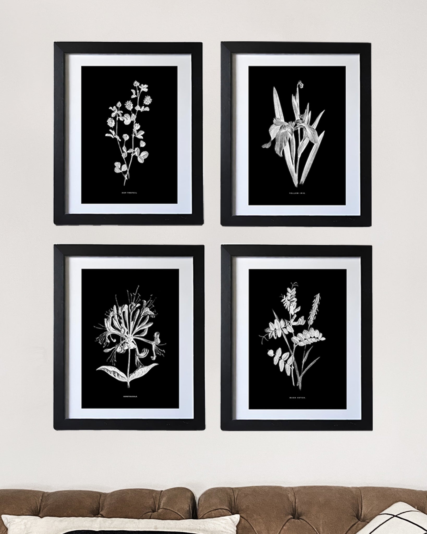 Black & White Framed Vintage Botanical Floral Art Prints: Set Of Four