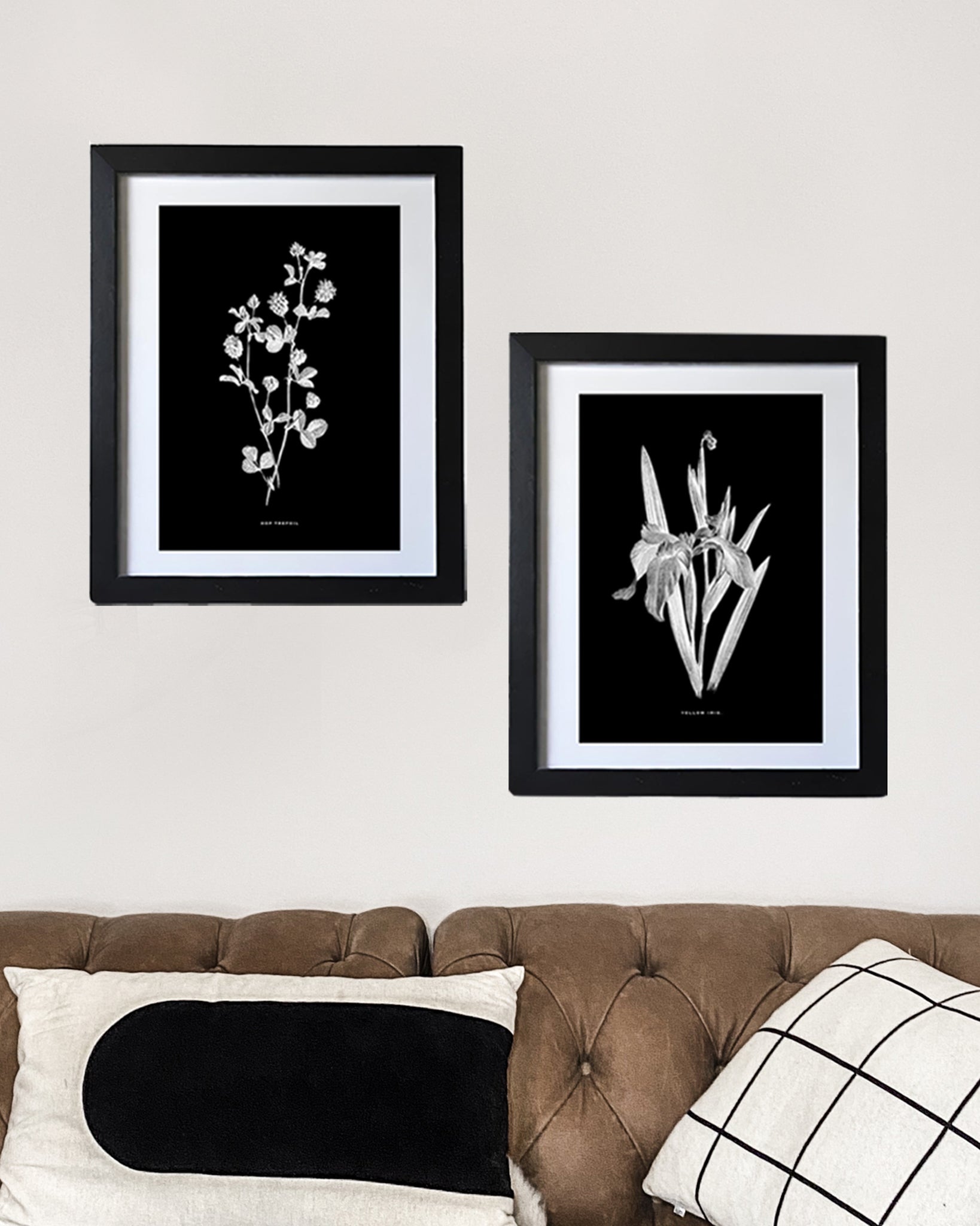 Black & White Framed Vintage Botanical Floral Art Prints: Set Of Two