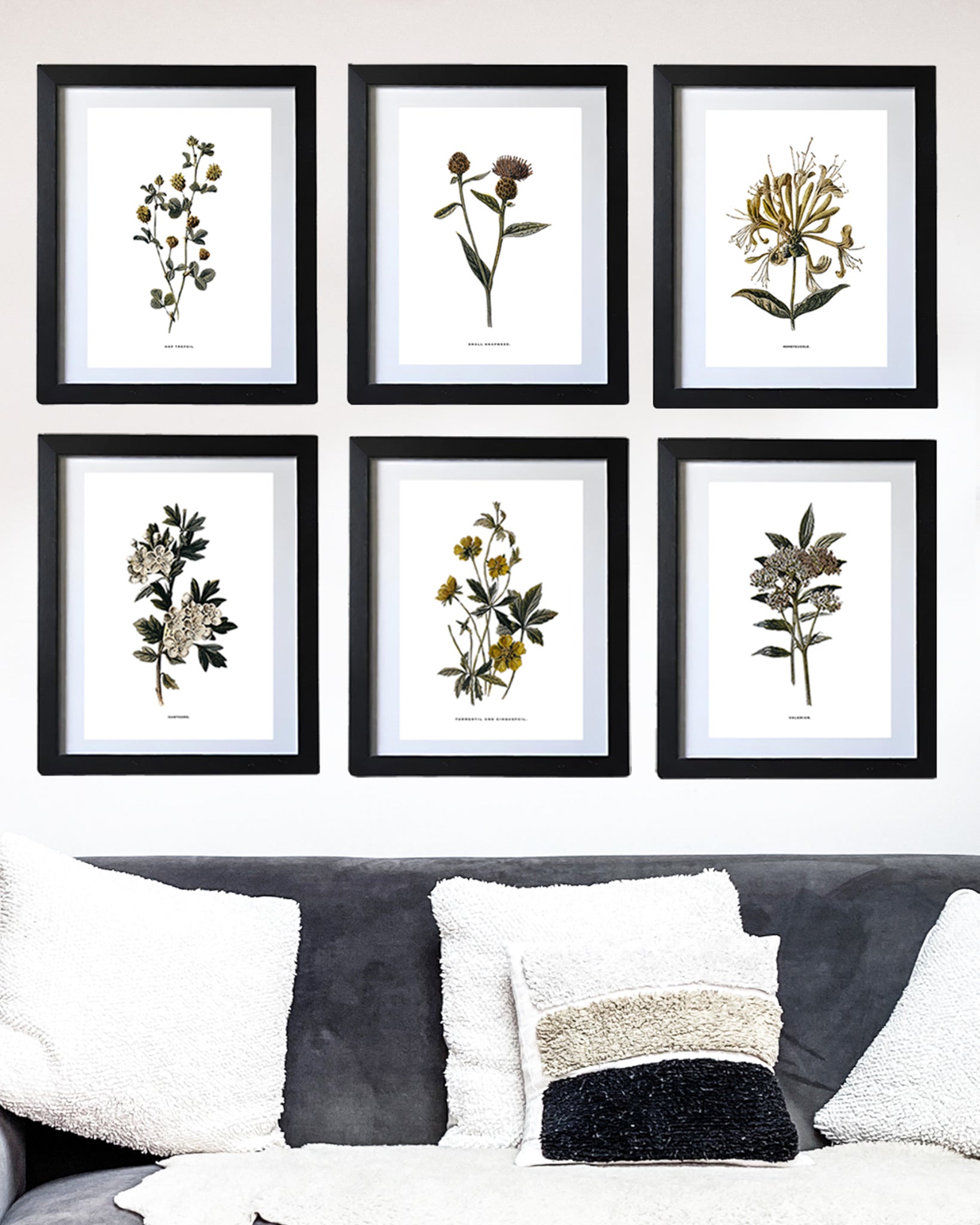 Restored Vintage Botanical Art Print – 19th Century Floral Illustration (Pink Persicaria)