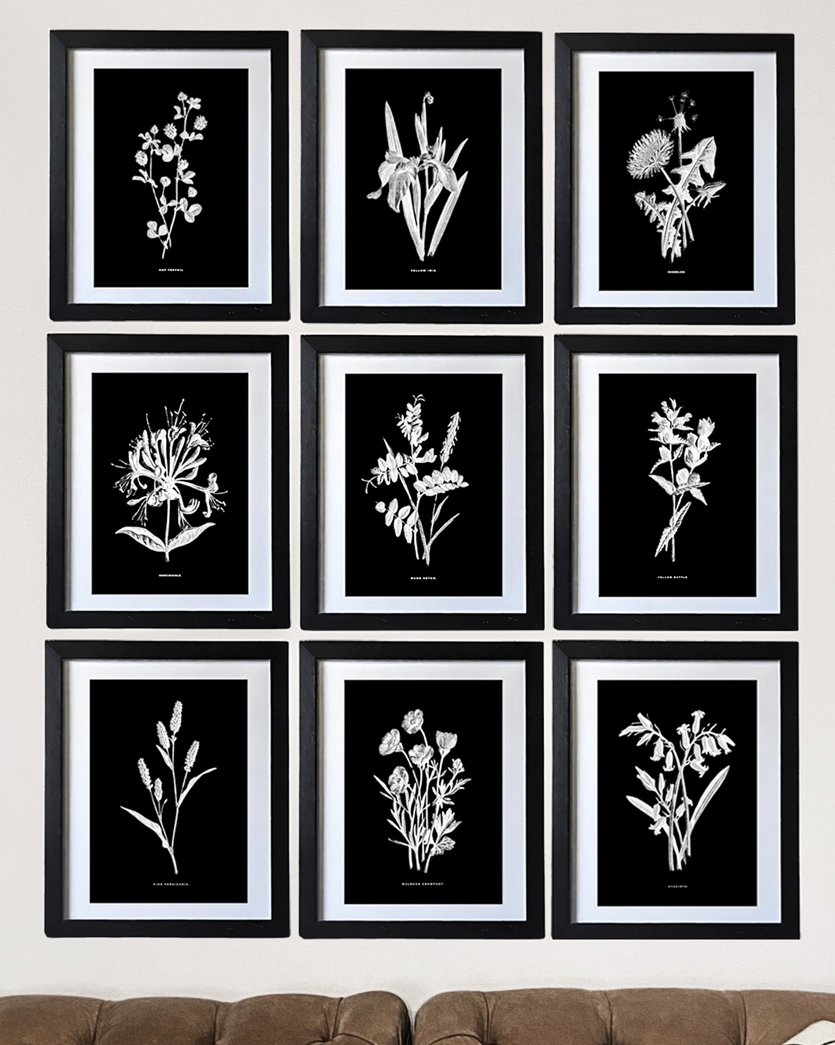Restored Monochrome Botanical Art Print – 19th Century Floral Illustration (Pink Persicaria)