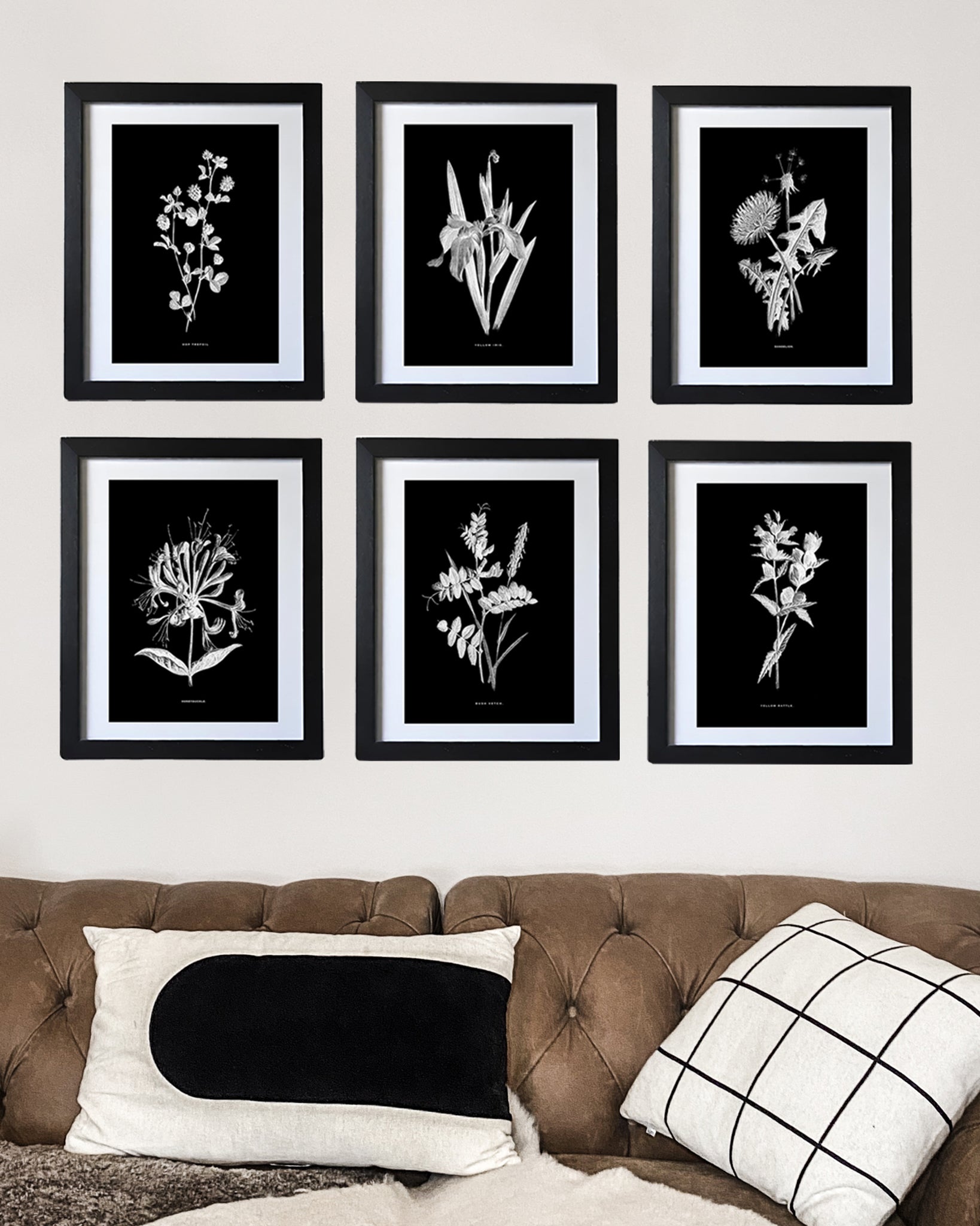 Restored Monochrome Botanical Art Print – 19th Century Floral Illustration (Hyacinth)