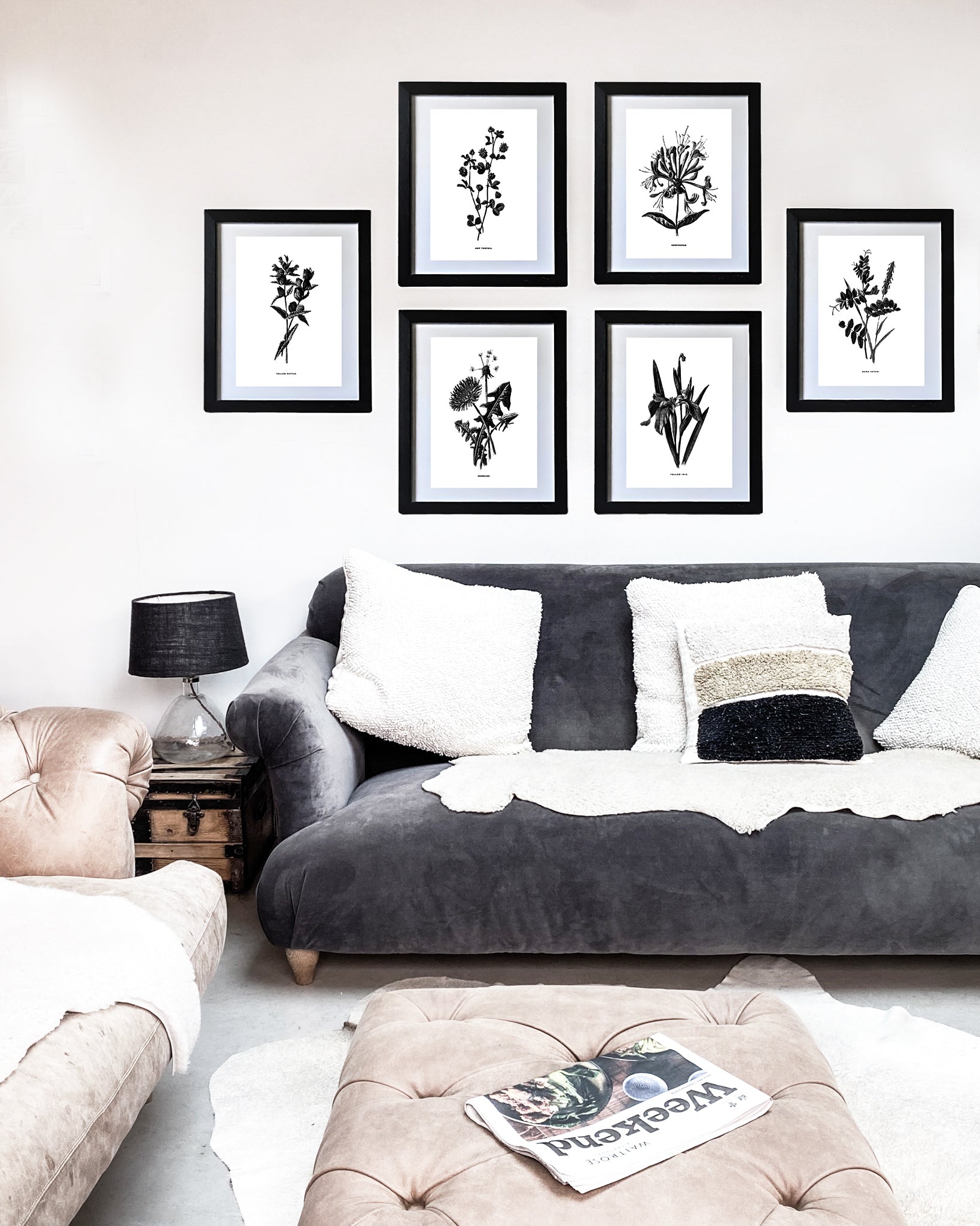 Restored Monochrome Botanical Art Print – 19th Century Floral Illustration (Yellow Rattle 01)