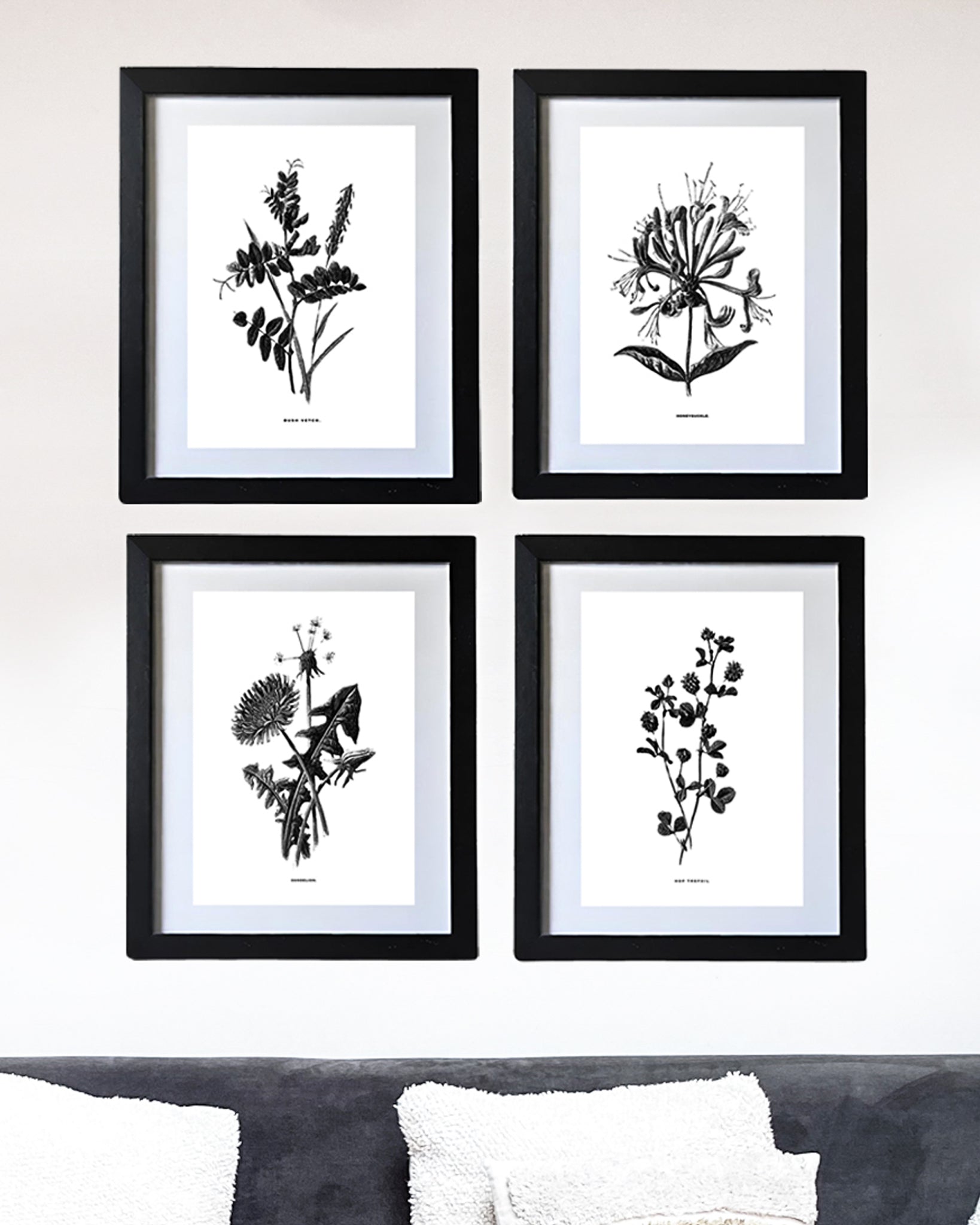 Framed Vintage Botanical Floral Art Prints: Set Of Four