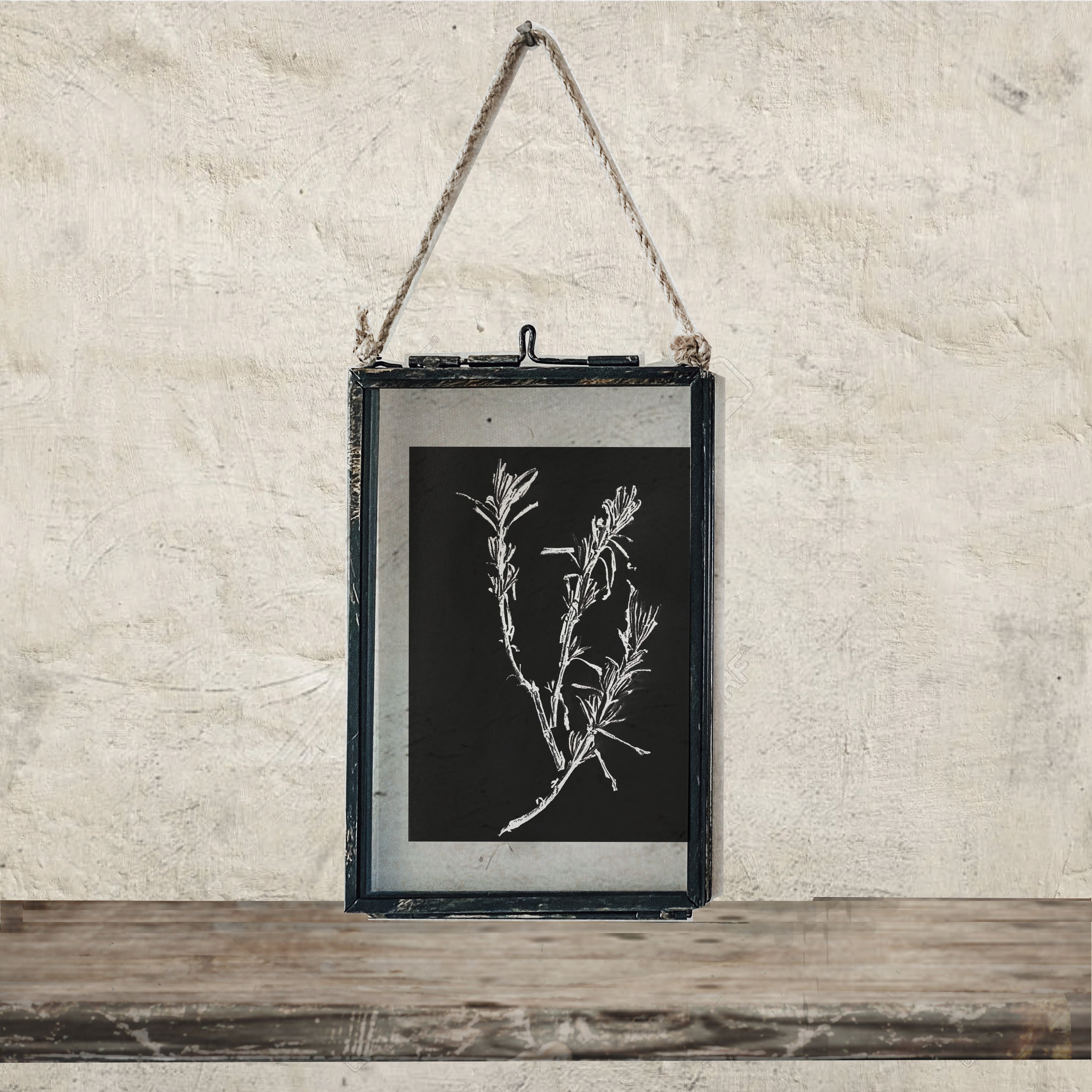 Black Antique Frame: Dried Lavender Leaves Print - Small