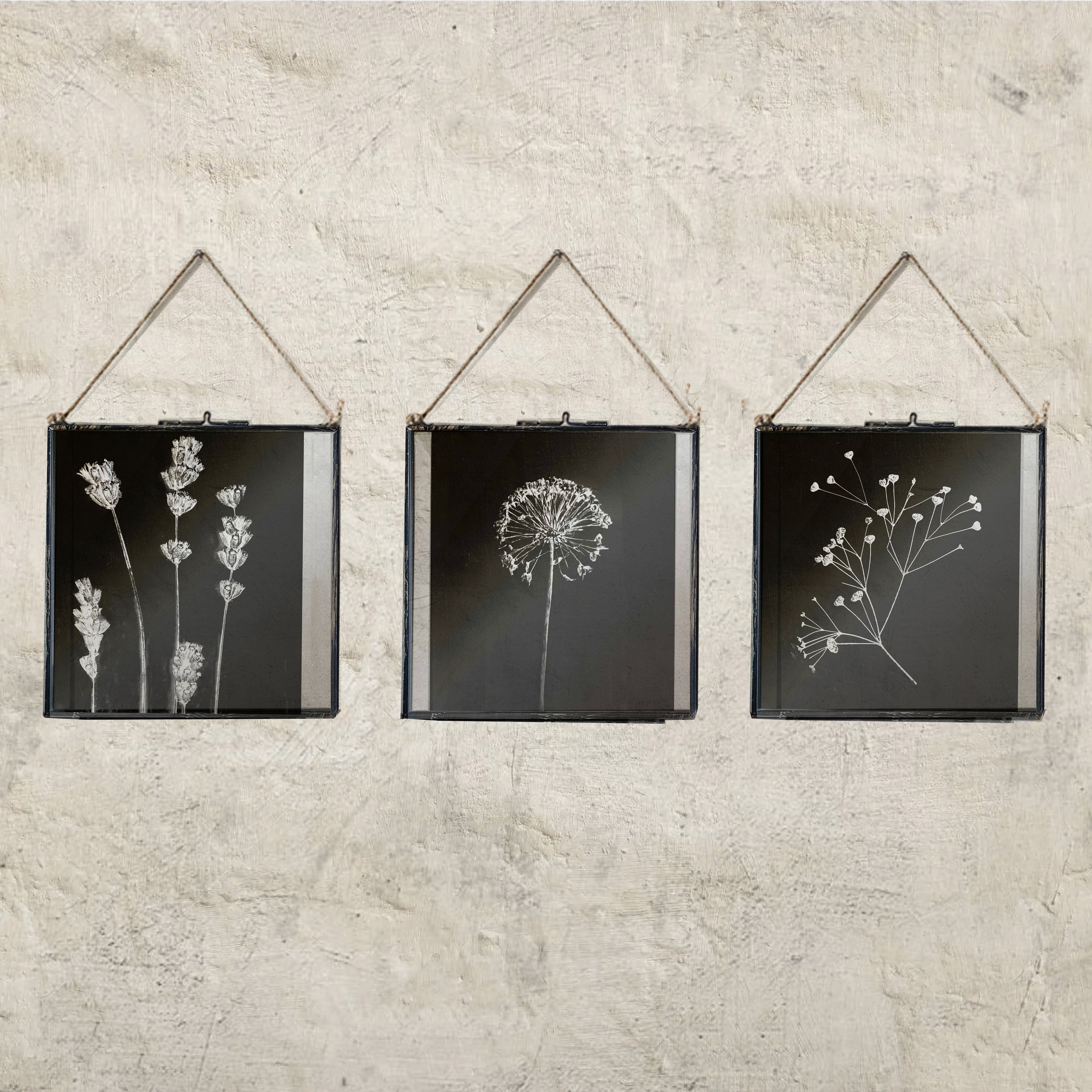 Set Of Seven Monochrome Framed Floral Prints