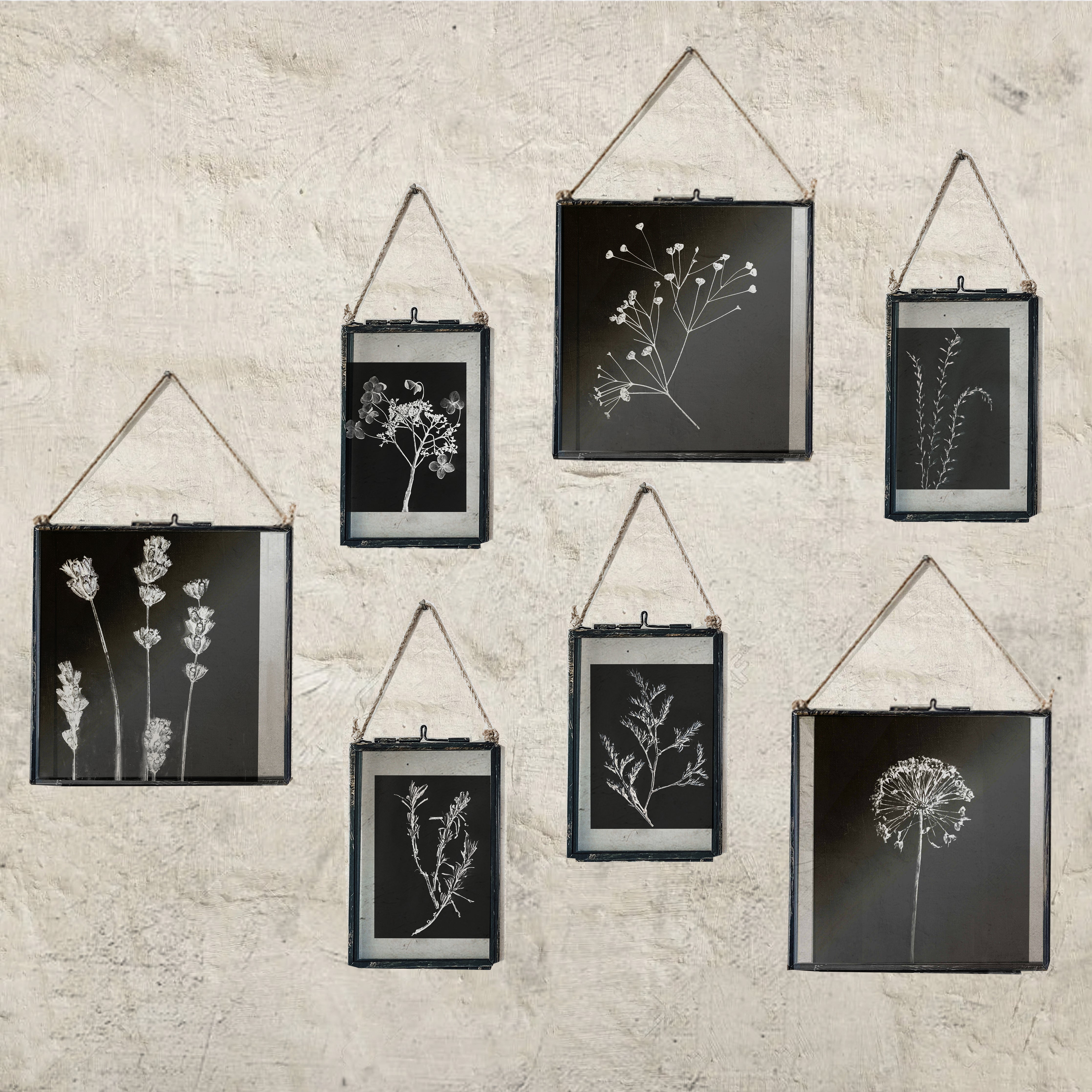 Black Antique Frame: Dried Hydrangea Print - Small
