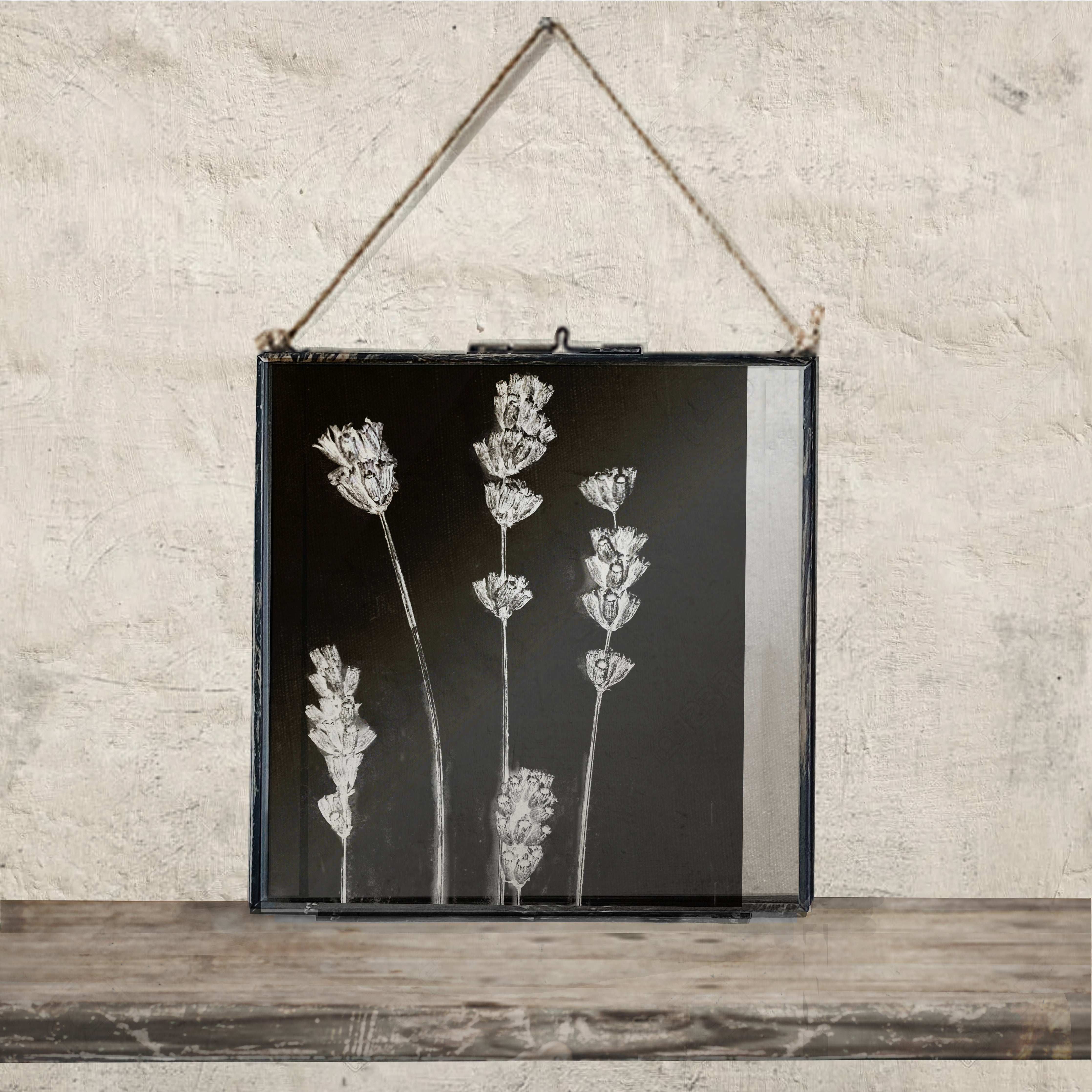 Set Of Seven Monochrome Framed Floral Prints