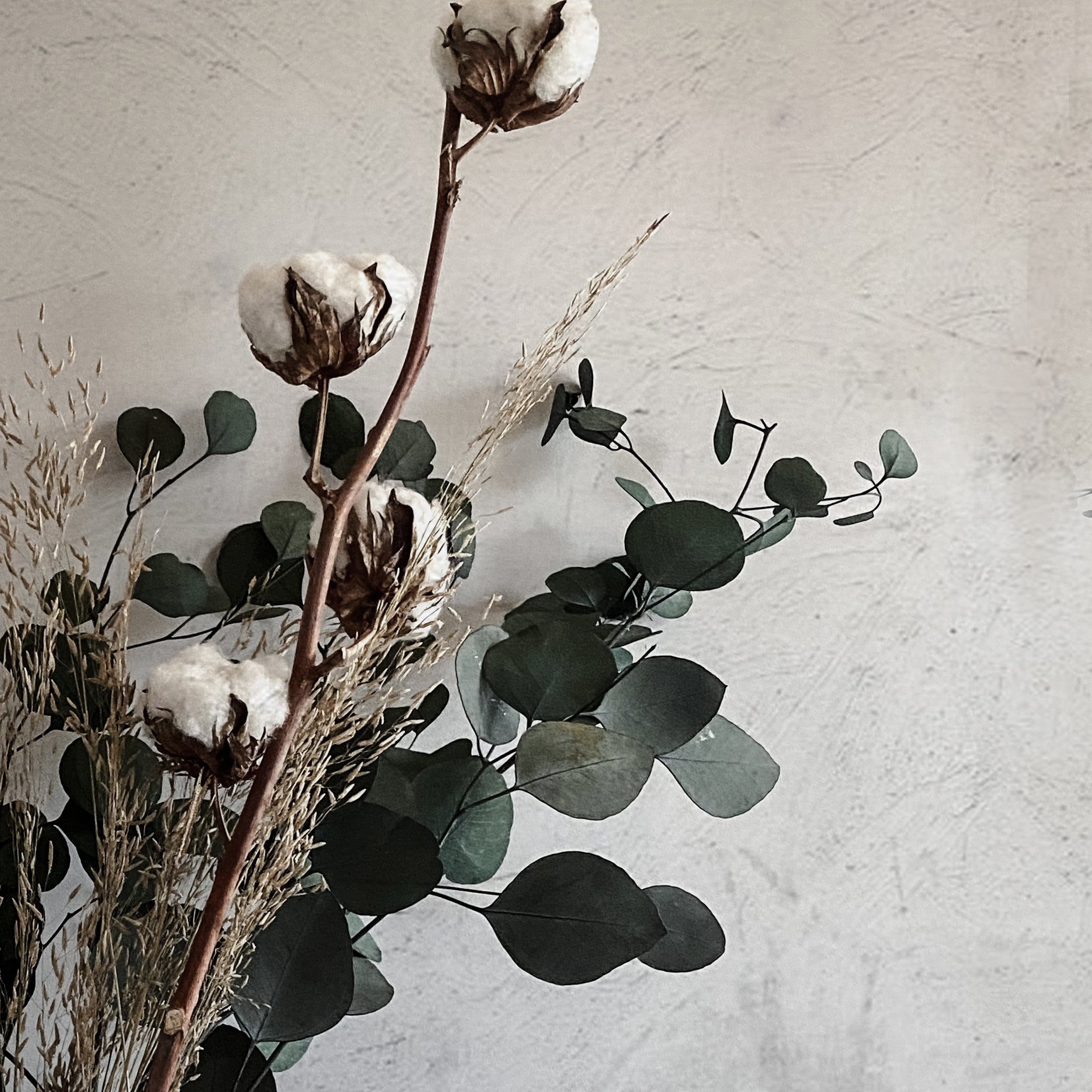 Dried Flower Bouquet: Eucalyptus & Cotton Stems