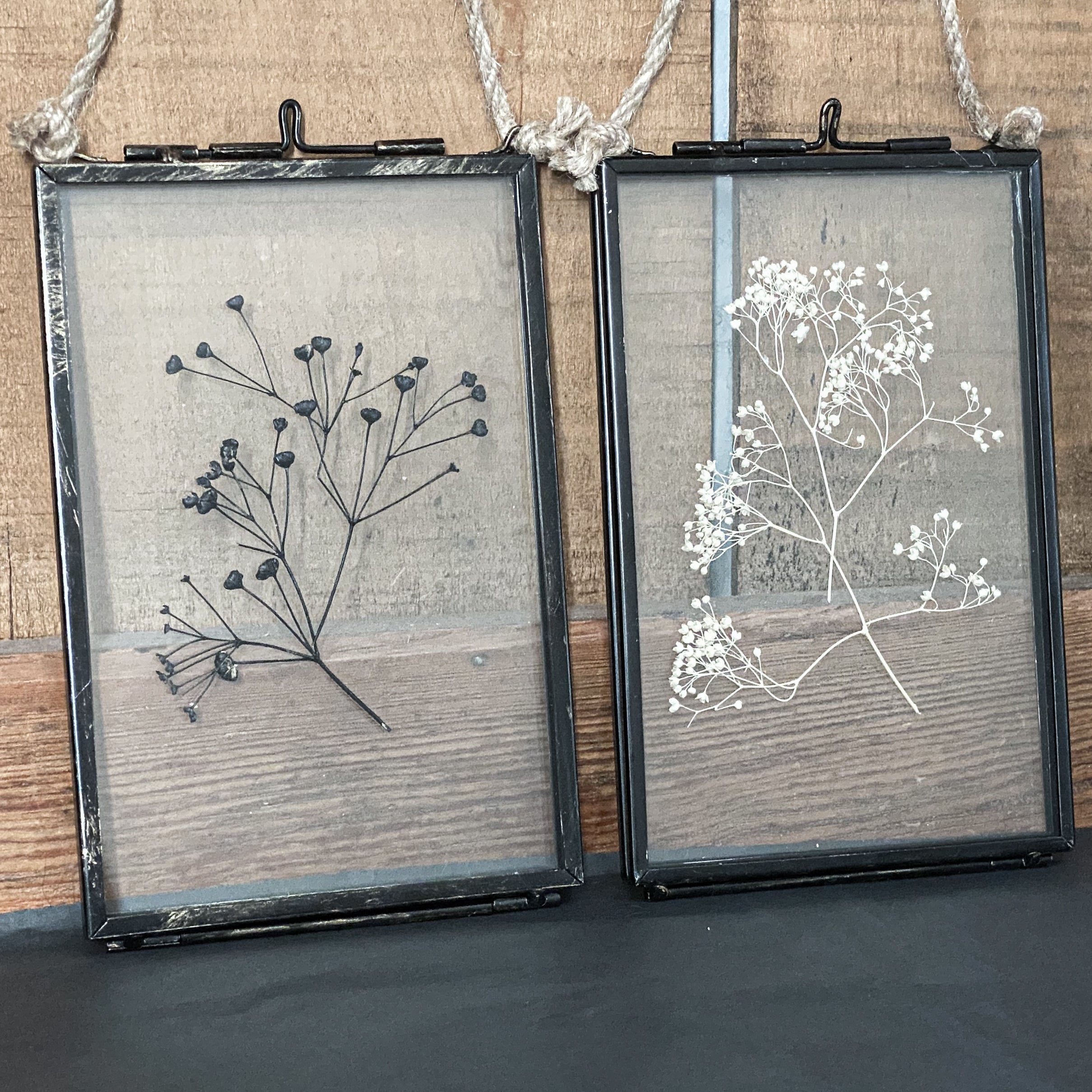 Black Antique Pressed Flower Frame: Dried Gypsophila - Small