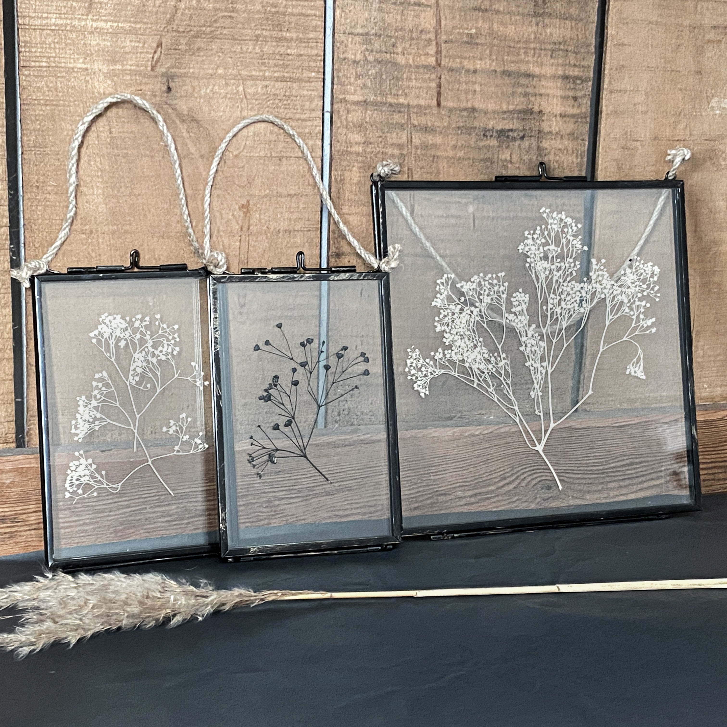 Black Antique Pressed Flower Frame: Dried Gypsophila - Small