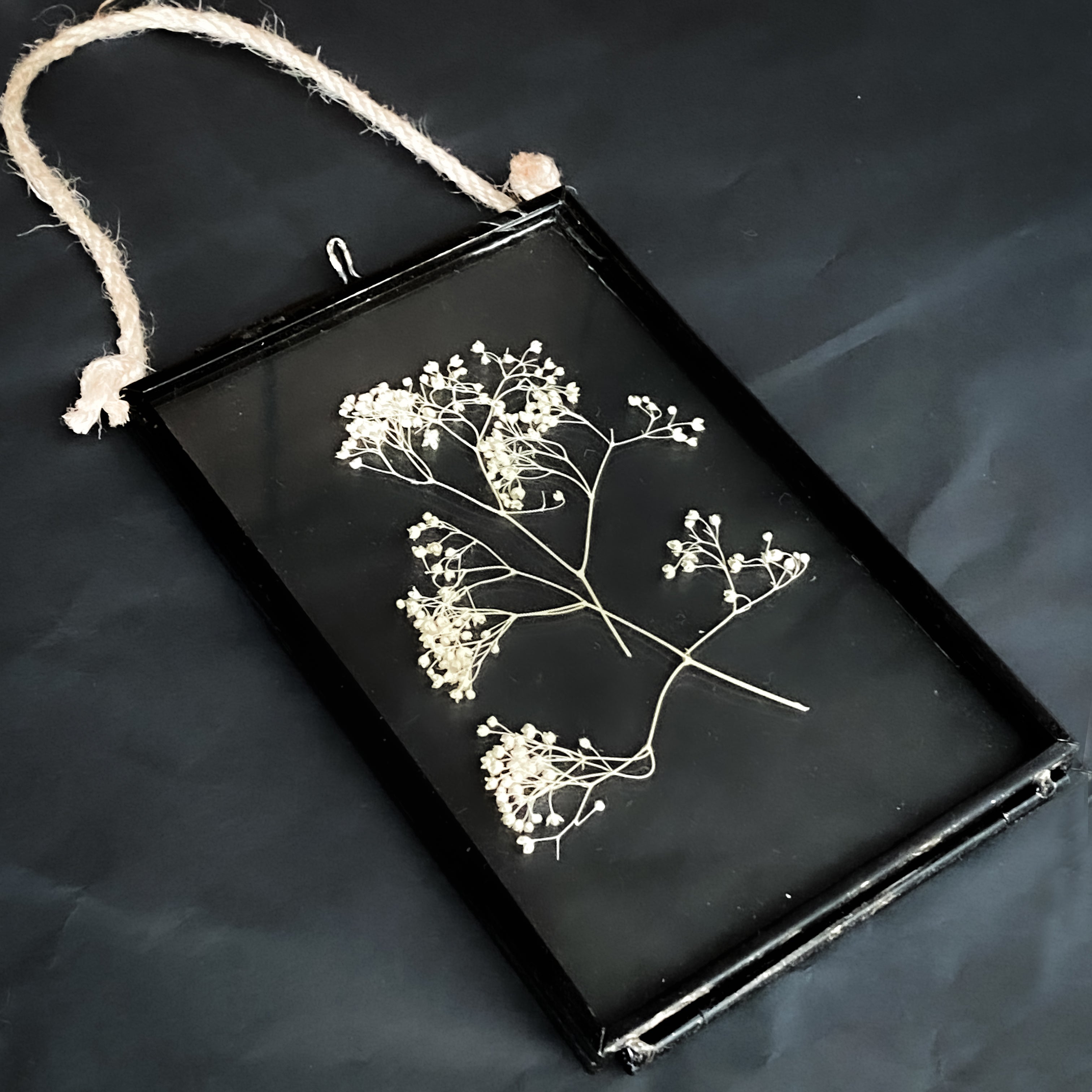 Black Antique Pressed Flower Frame: Dried Gypsophila - Small